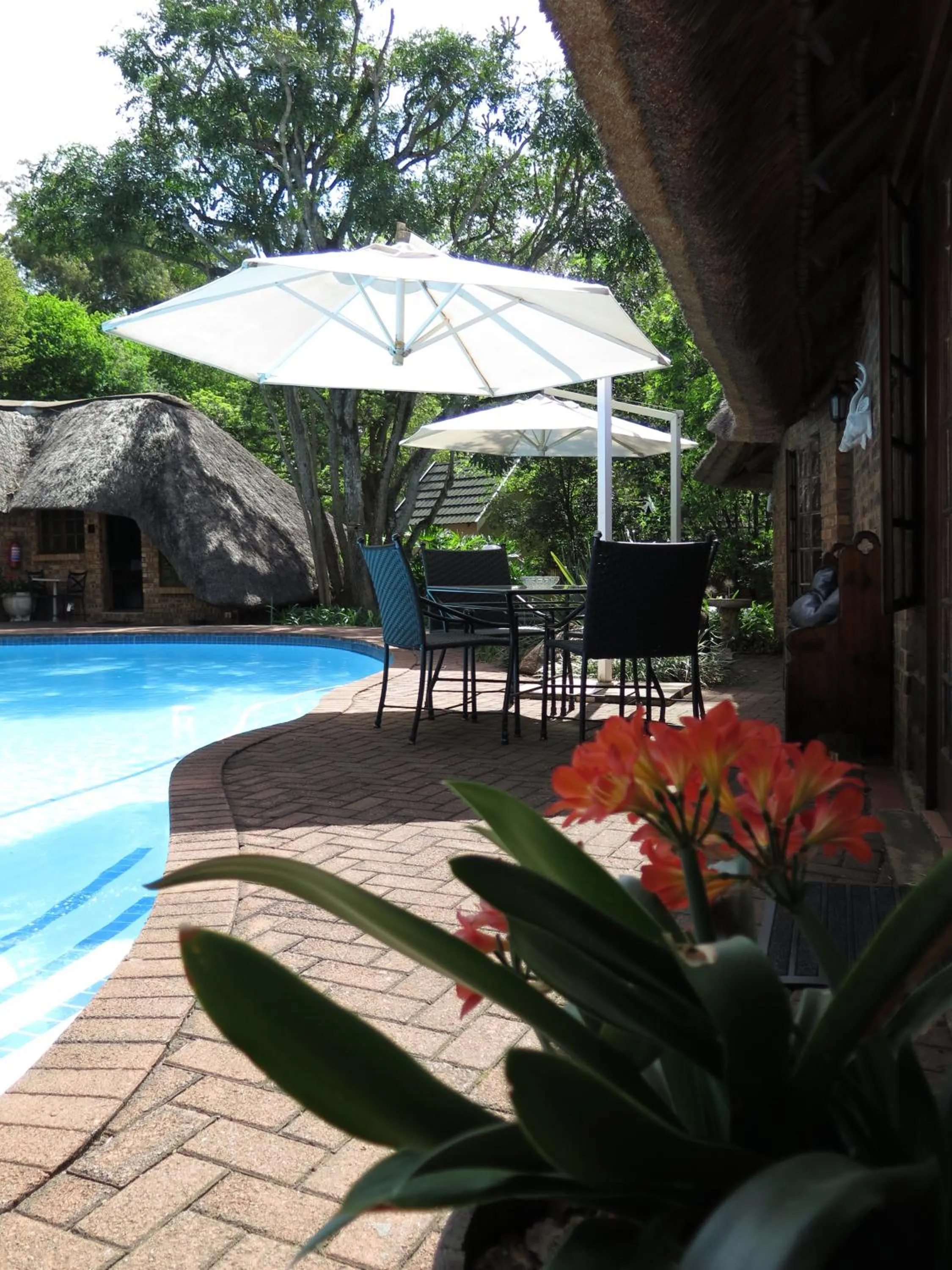 Swimming pool in Haggards on Hilldrop