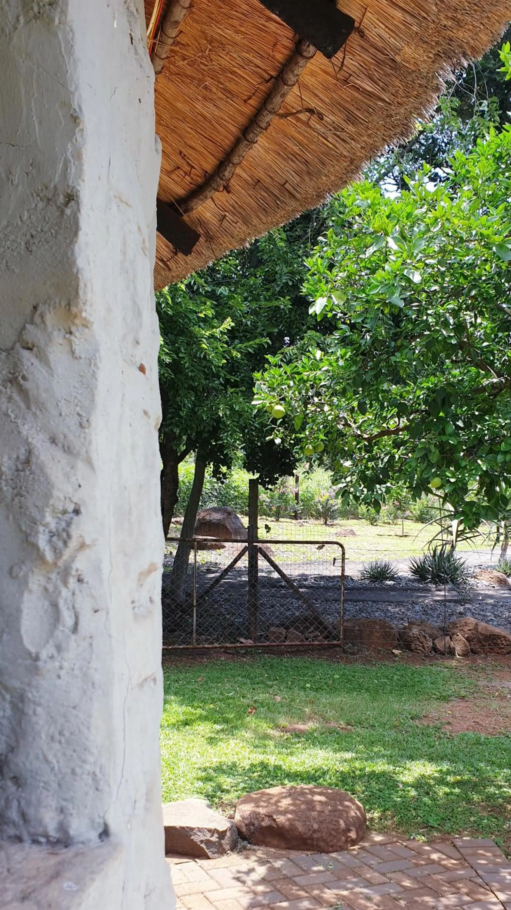Patio in Haggards on Hilldrop