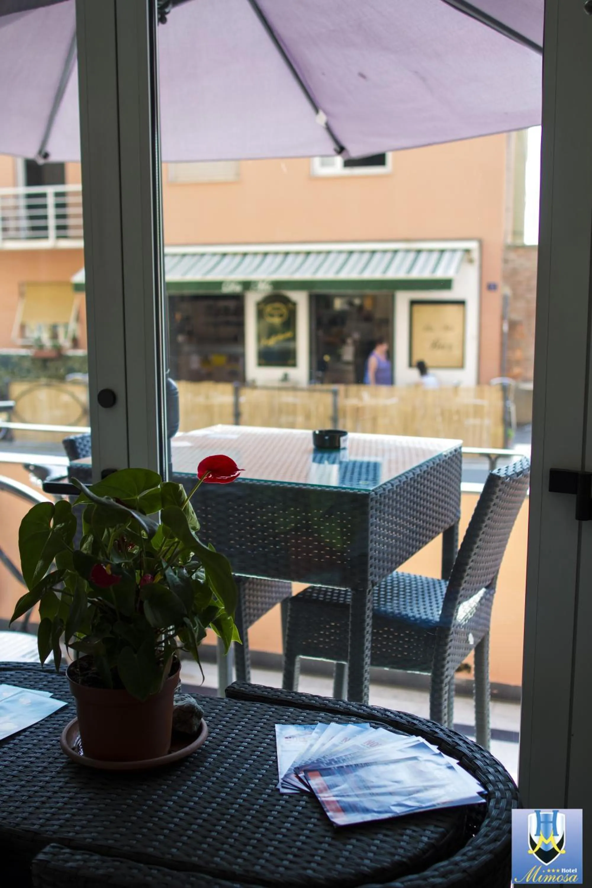 Lounge or bar in Hotel Mimosa