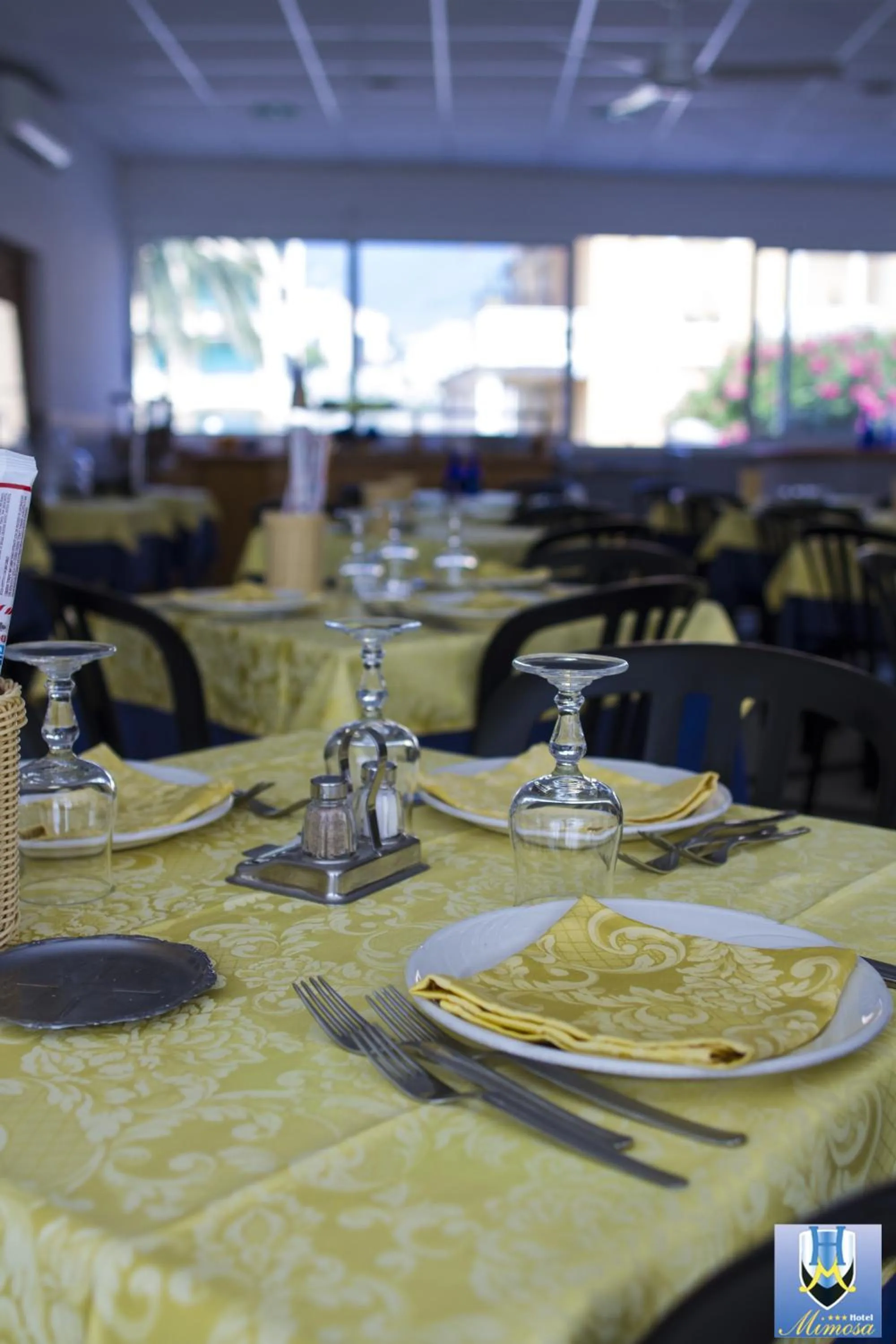 Restaurant/places to eat in Hotel Mimosa