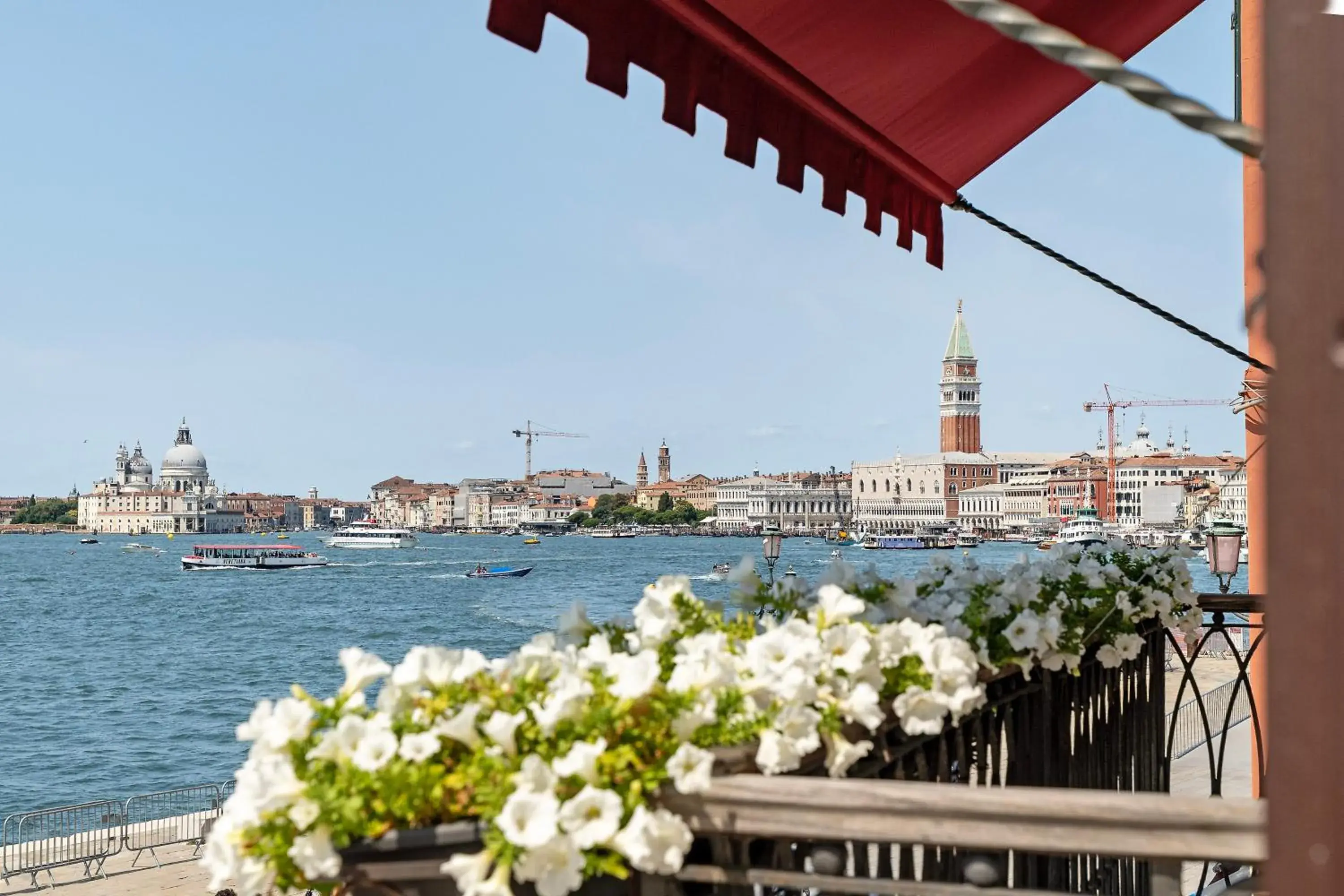 Junior Suite with Sea View in Porta da mar Junior Suite with Sea View in Porta da mar