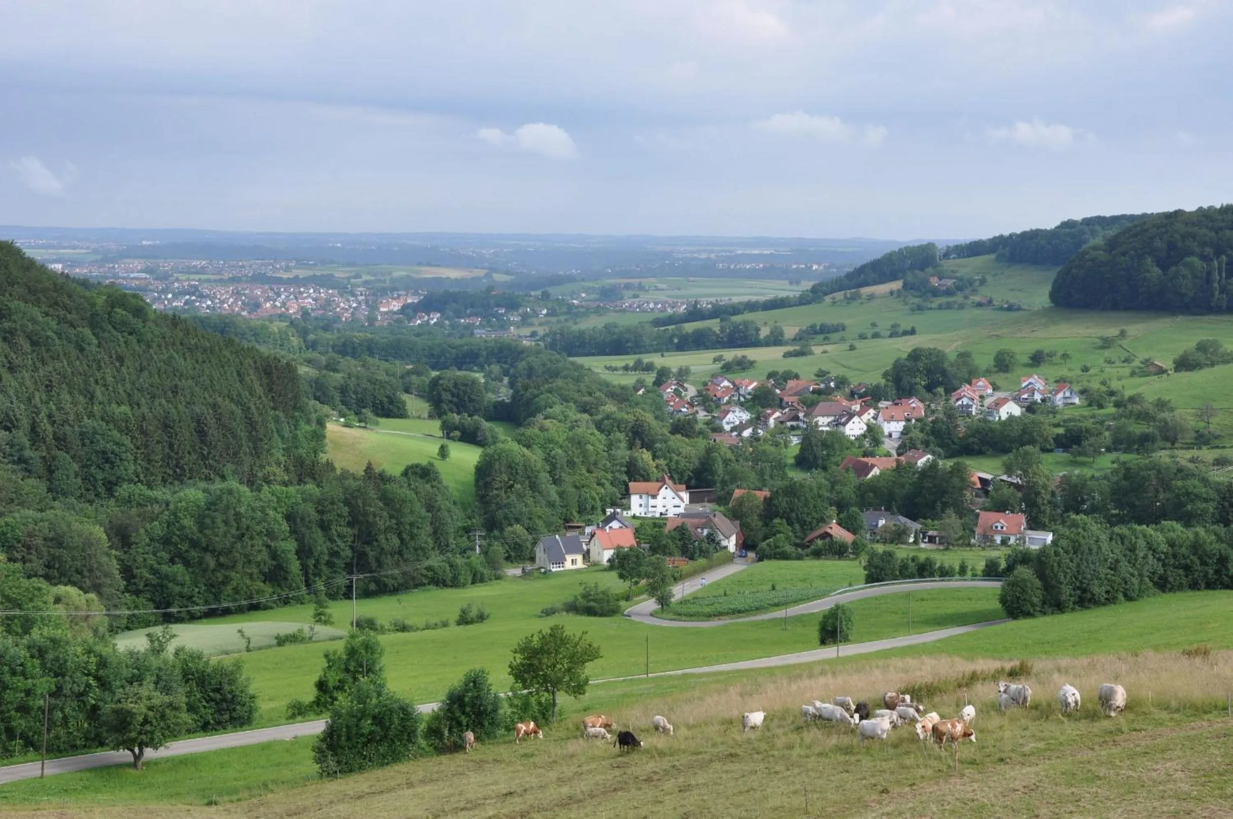 Natural landscape in Landgasthof Hölzle