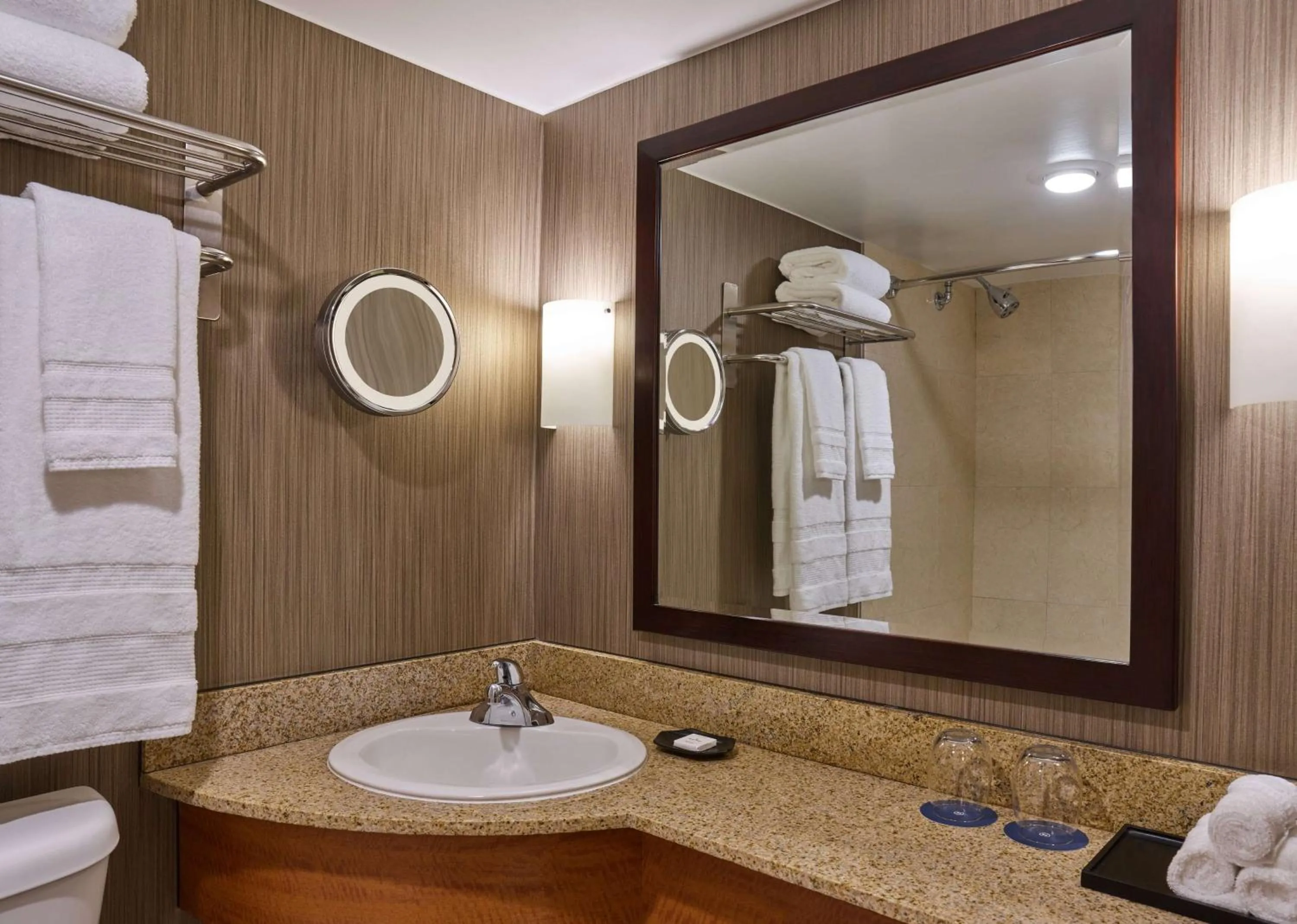 Bathroom in Courtland Grand Hotel, Trademark Collection by Wyndham