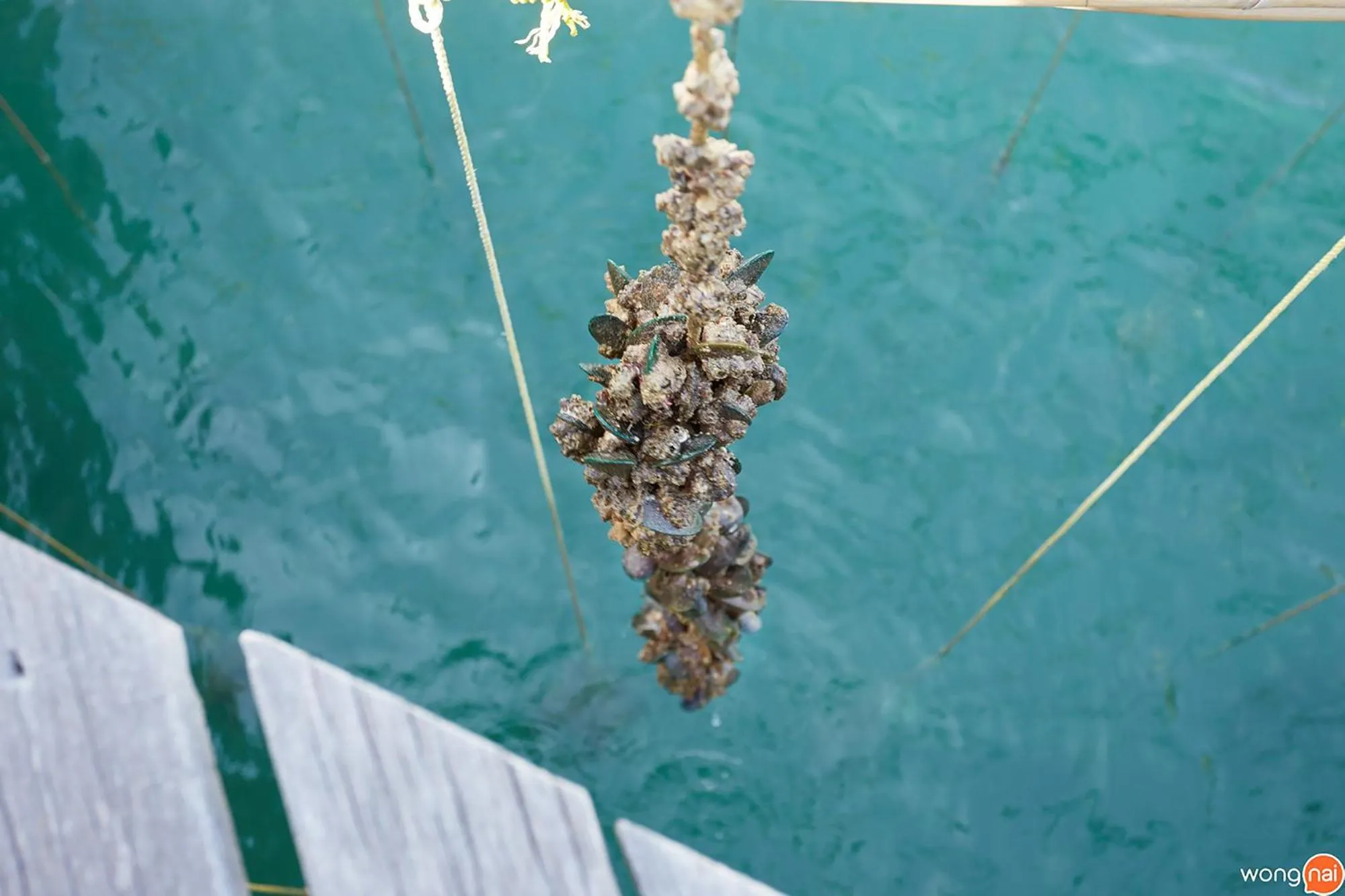 Rayong Resort Hotel โรงแรมระยองรีสอร์ท