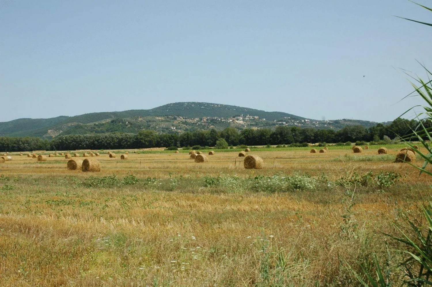 Neighbourhood in Casa Vacanze Vecchio Granaio