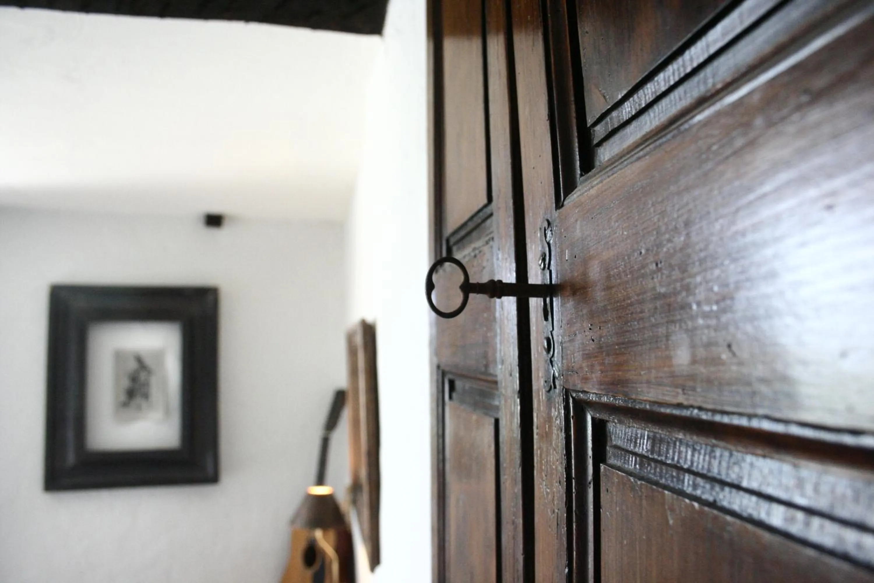 la maison aux bonsais