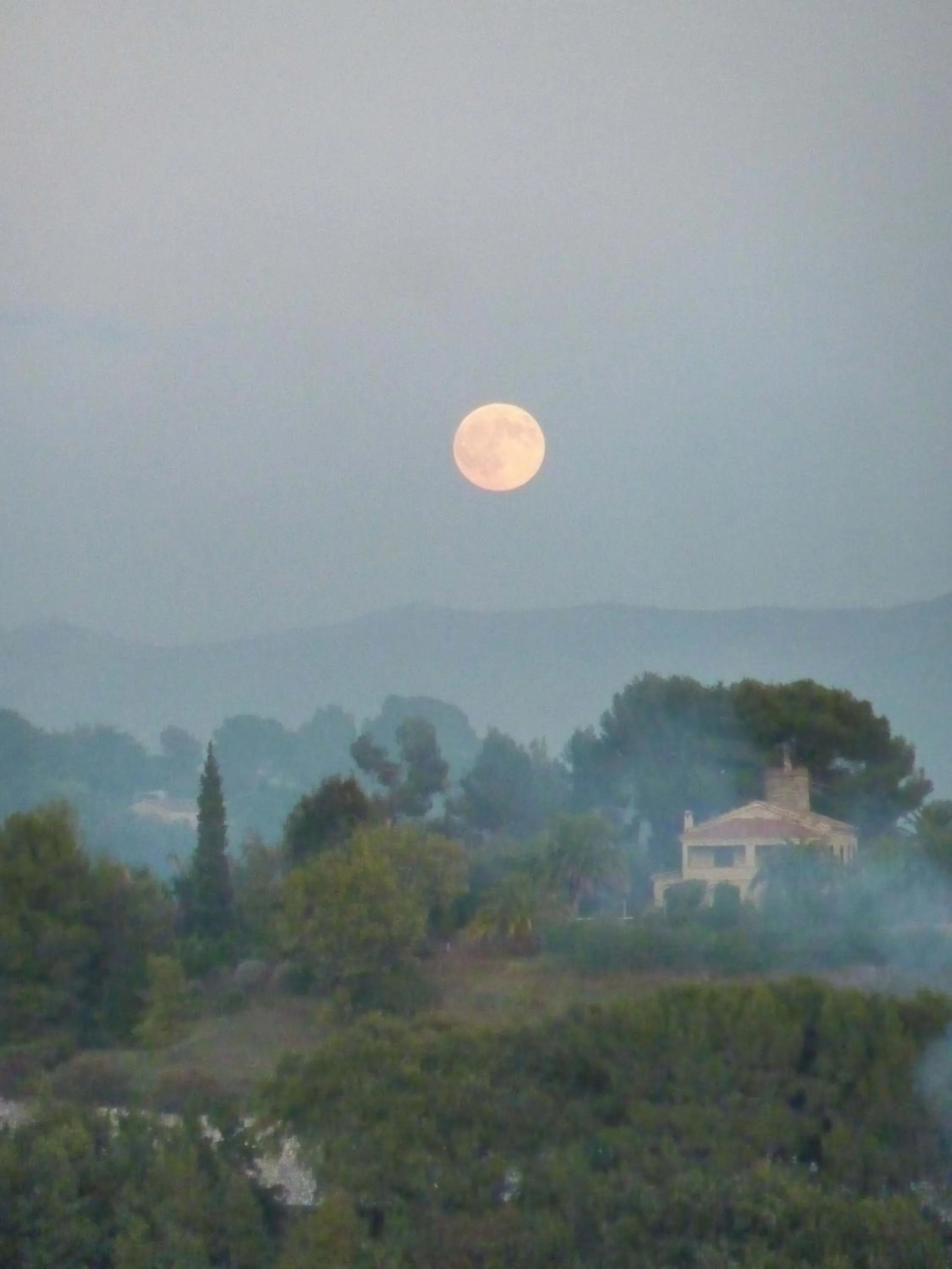 la maison aux bonsais