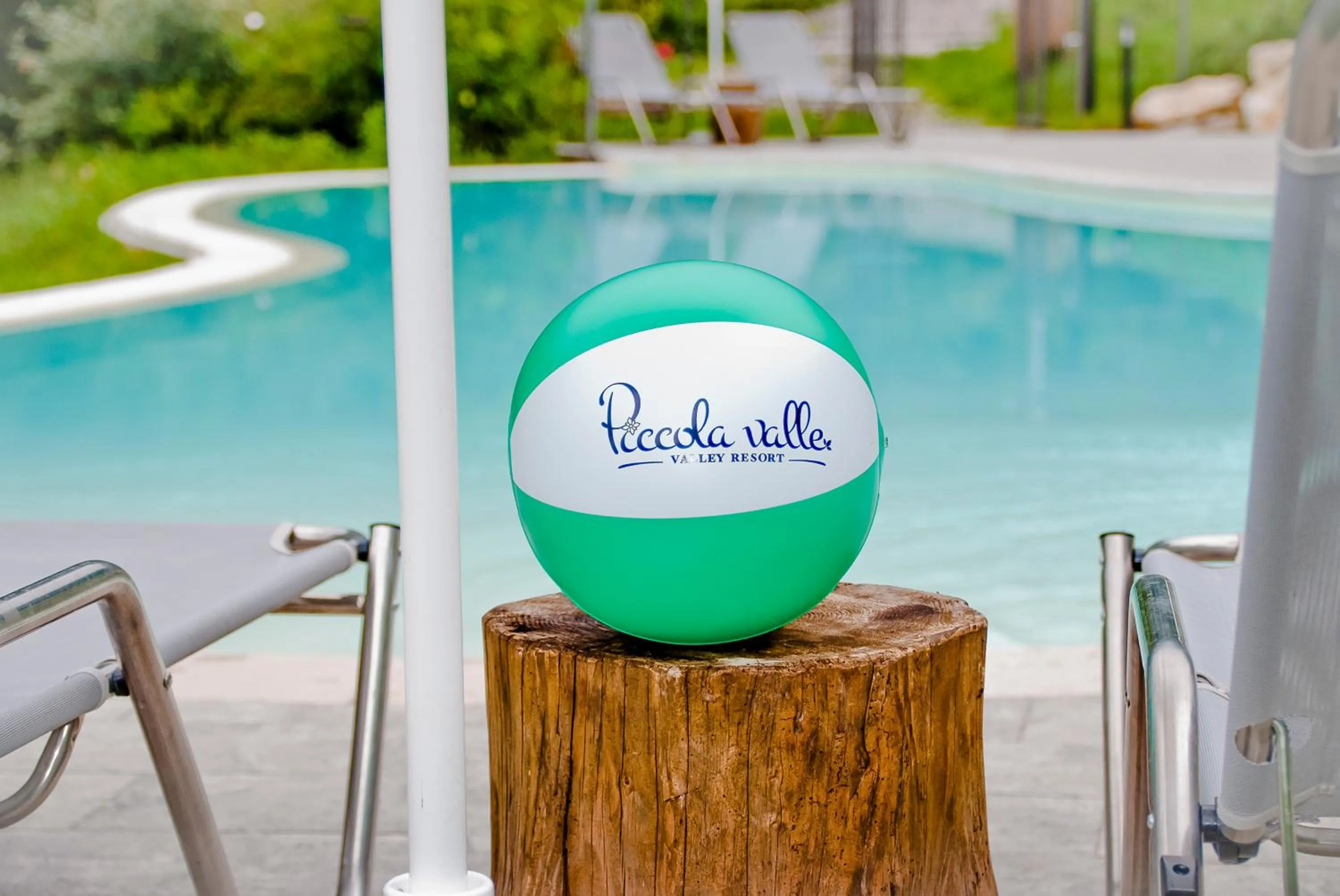 Swimming pool in La Fontanina