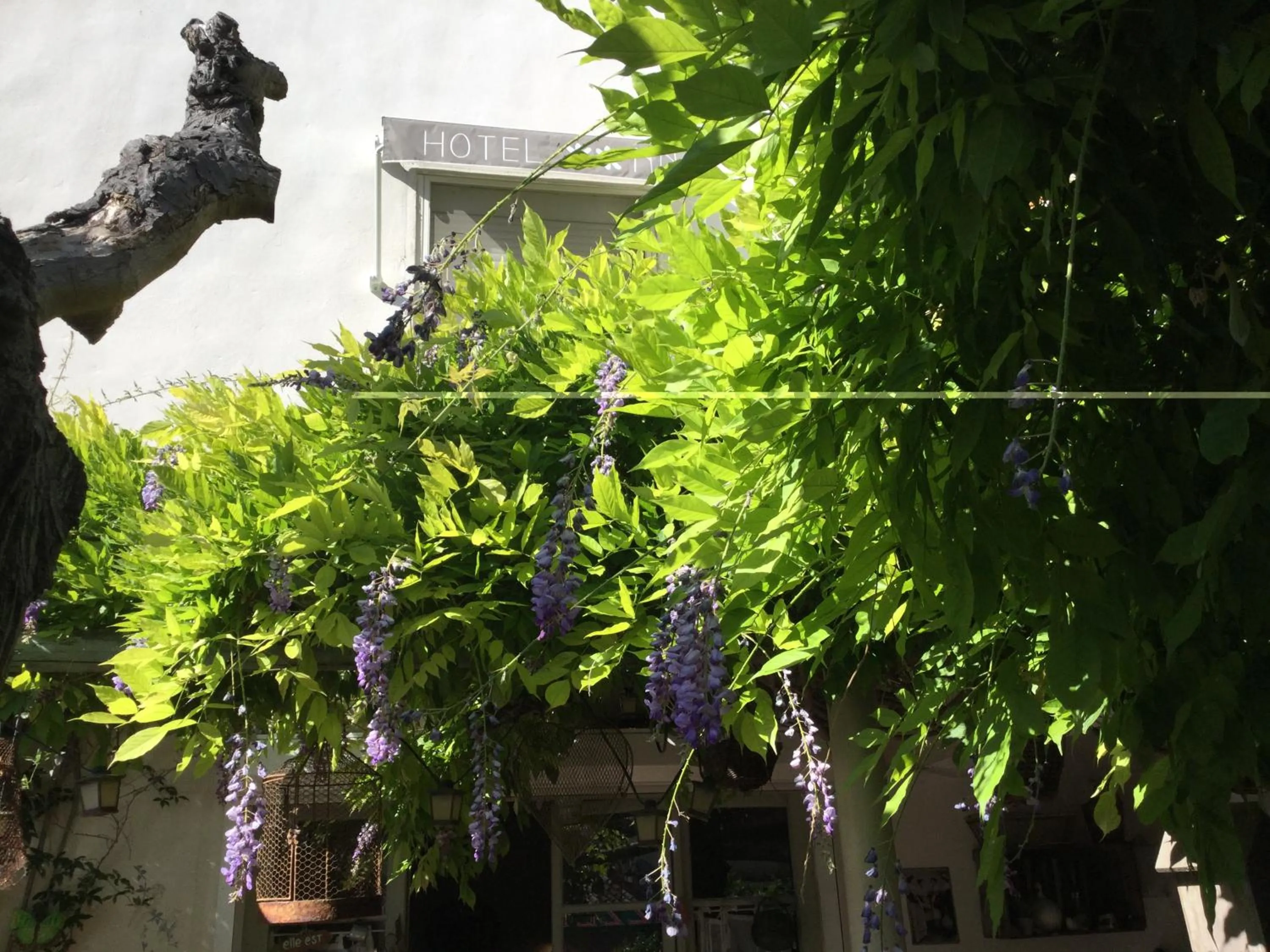 Hotel Le Méditérranée