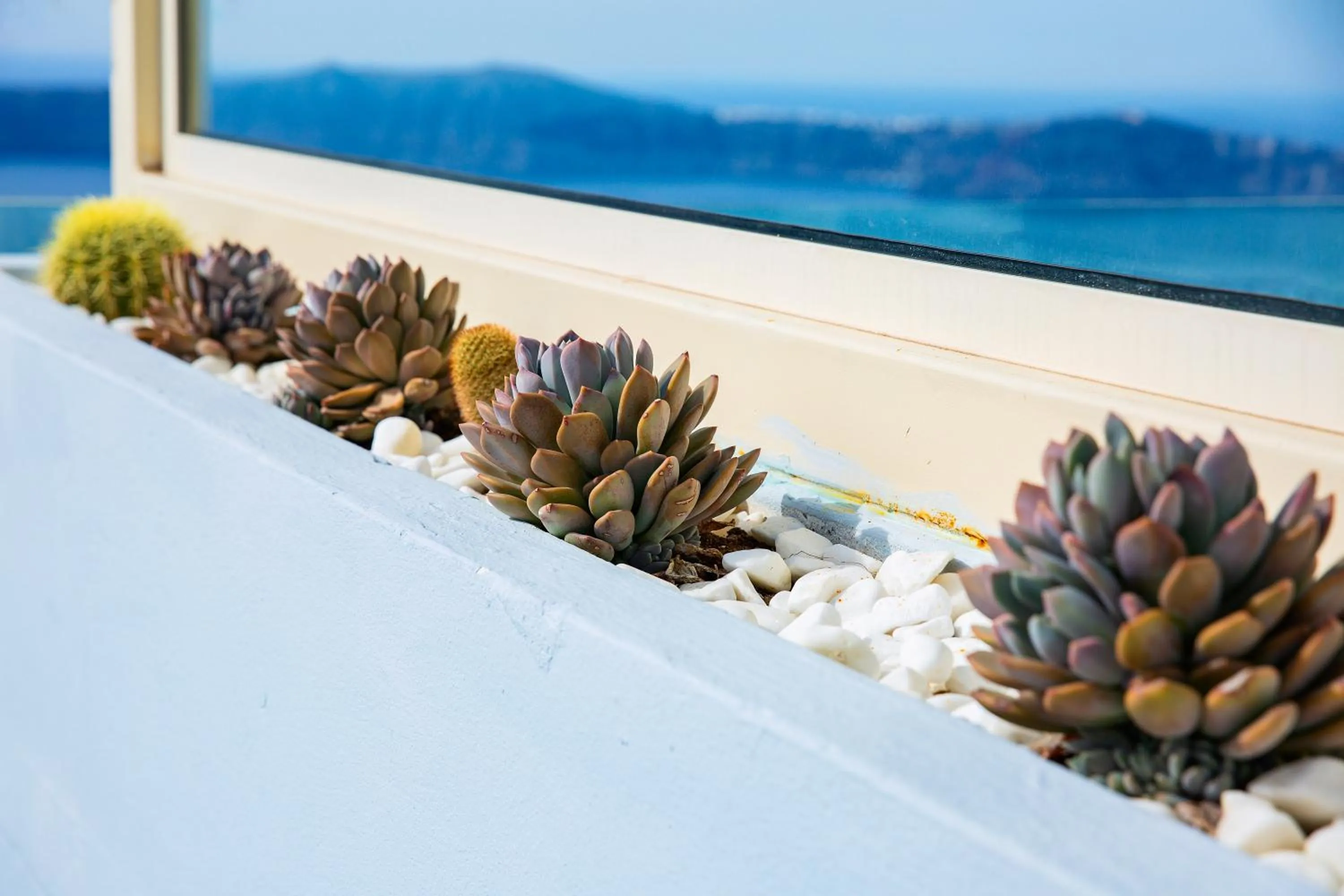 Restaurant/places to eat in Pearl on the Cliff Hotel & Suites by Pearl Hotel Collection