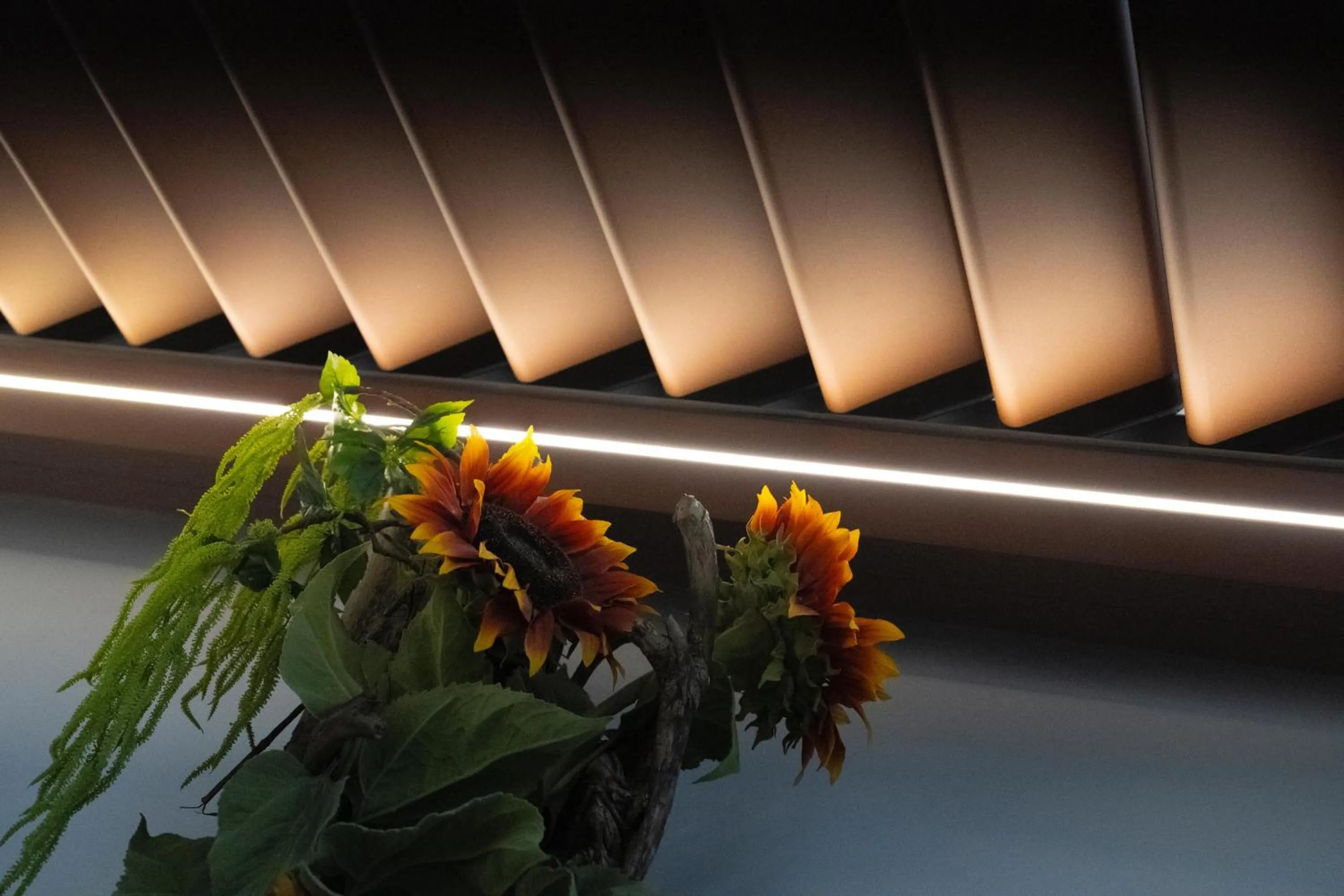 Restaurant/places to eat in Petit Hotel