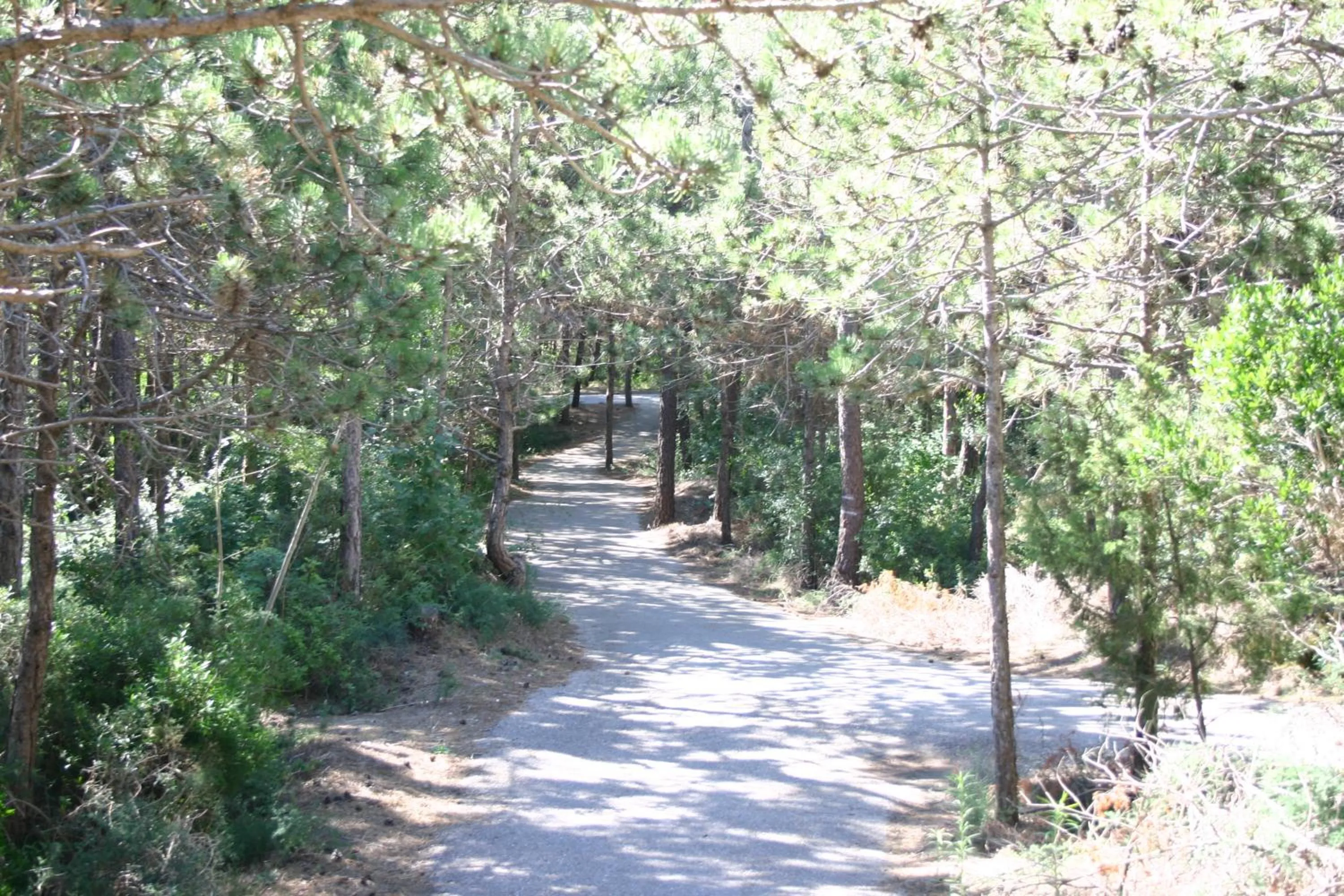 Garden in Bella Italia Sport Village