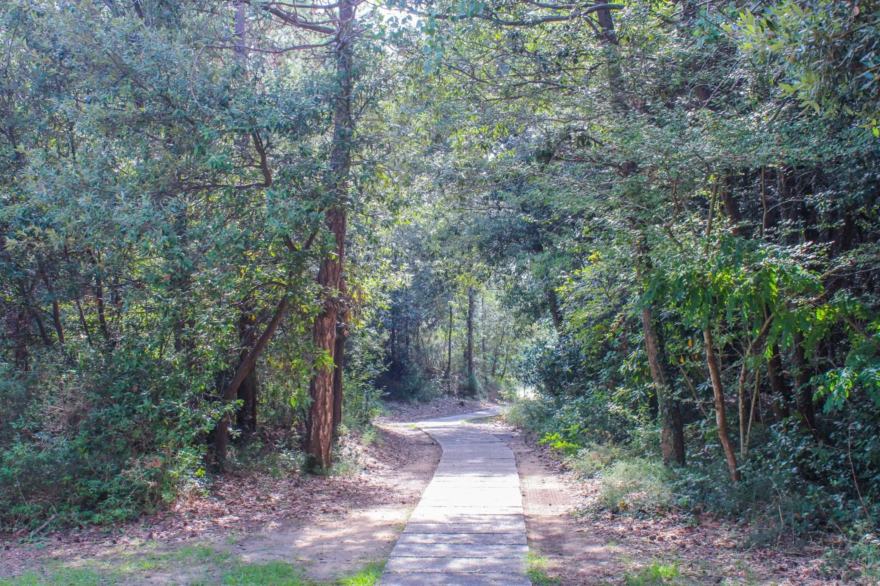 Day in Bella Italia Sport Village