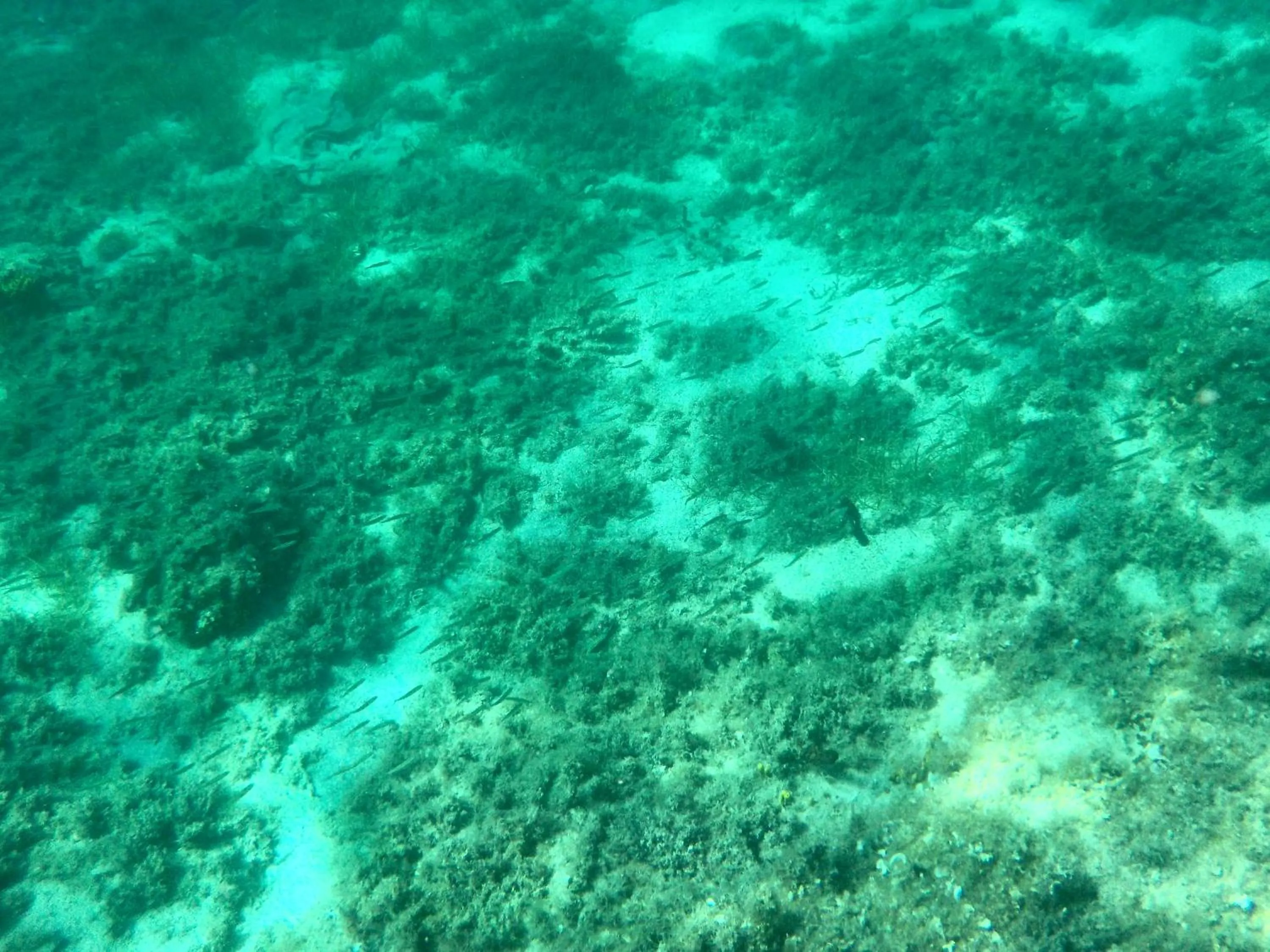 Area and facilities in Petra's garden