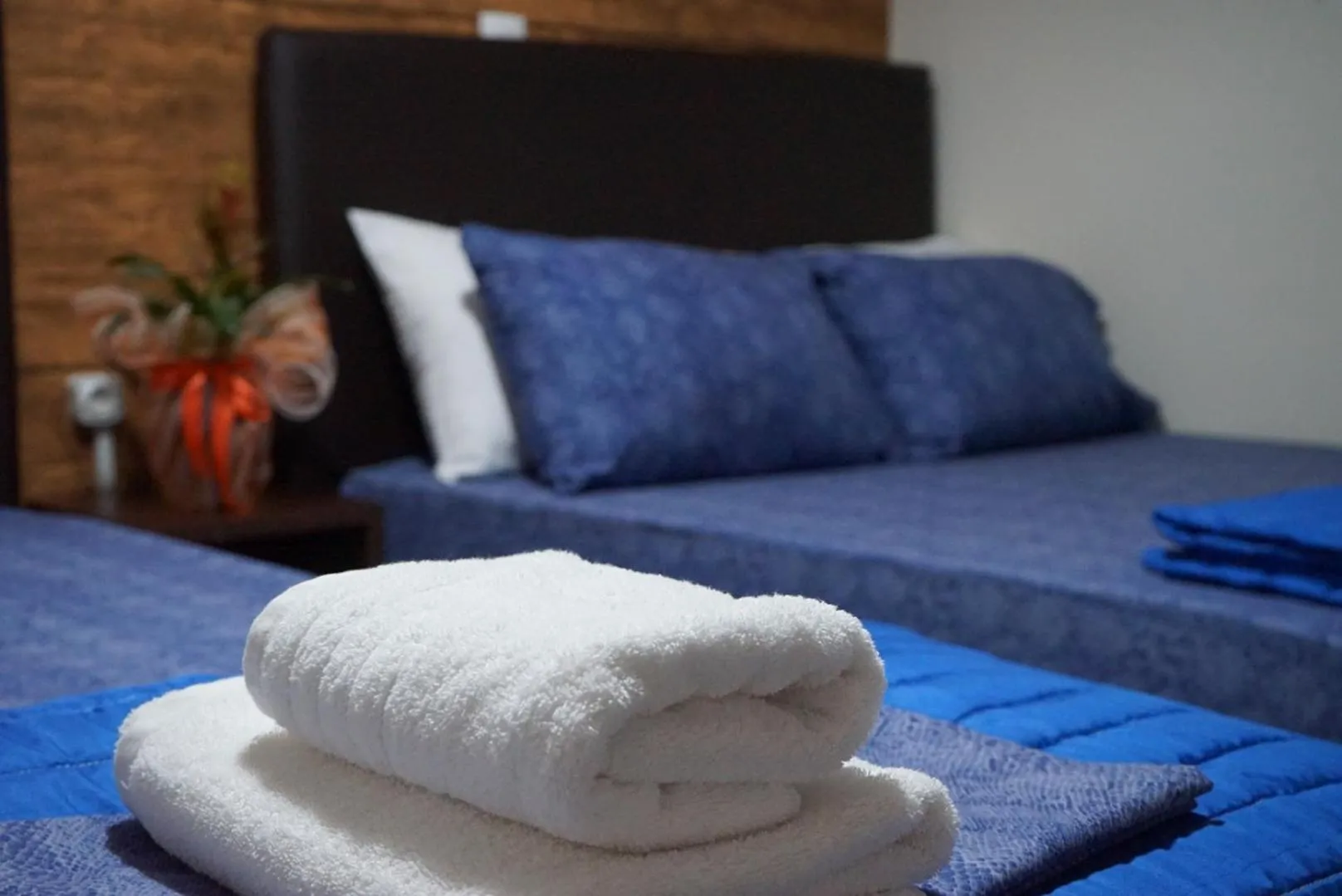 bunk bed, Bed in Orpheus Hotel