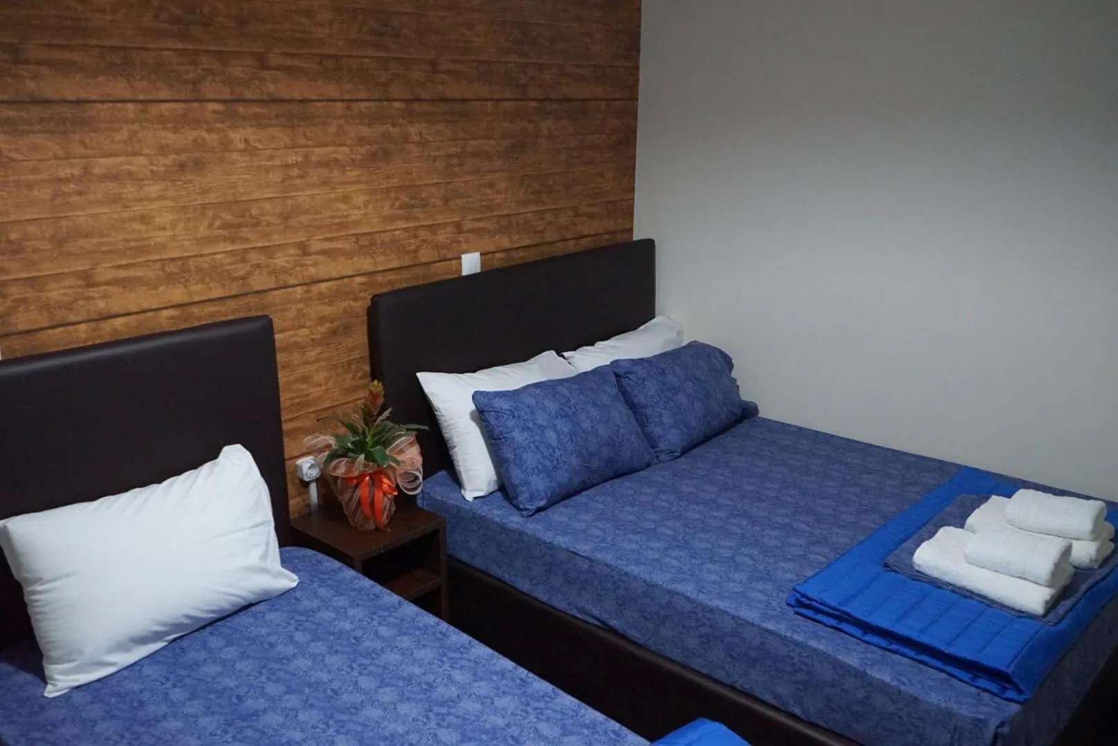 bunk bed, Bed in Orpheus Hotel