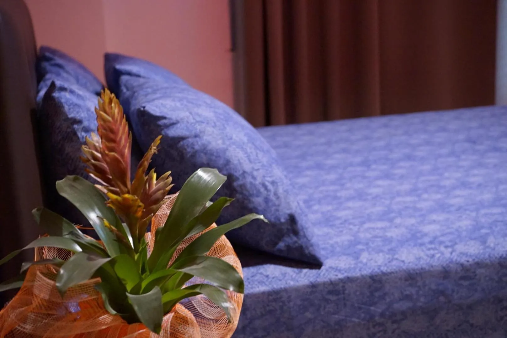 bunk bed, Bed in Orpheus Hotel