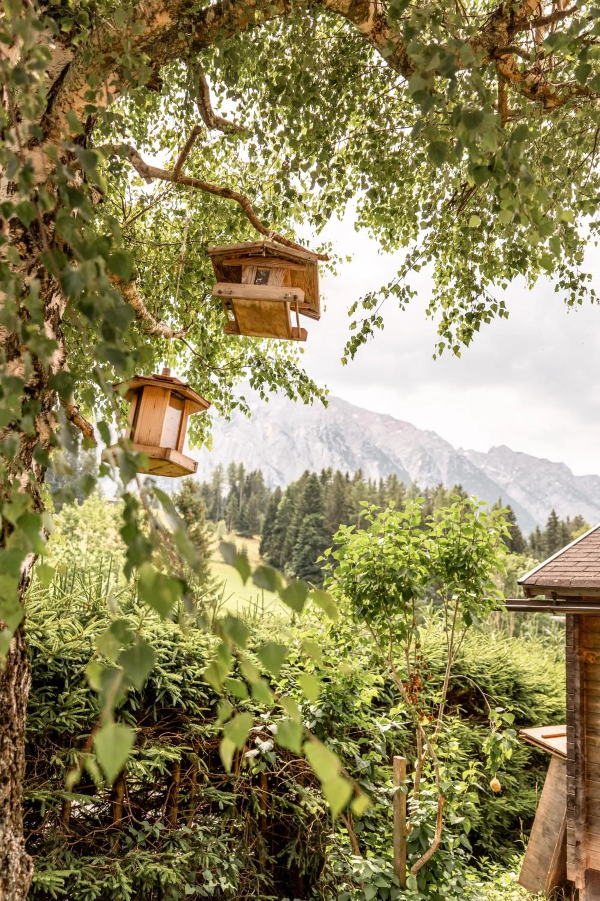 Balcony/Terrace in Der Seebacherhof