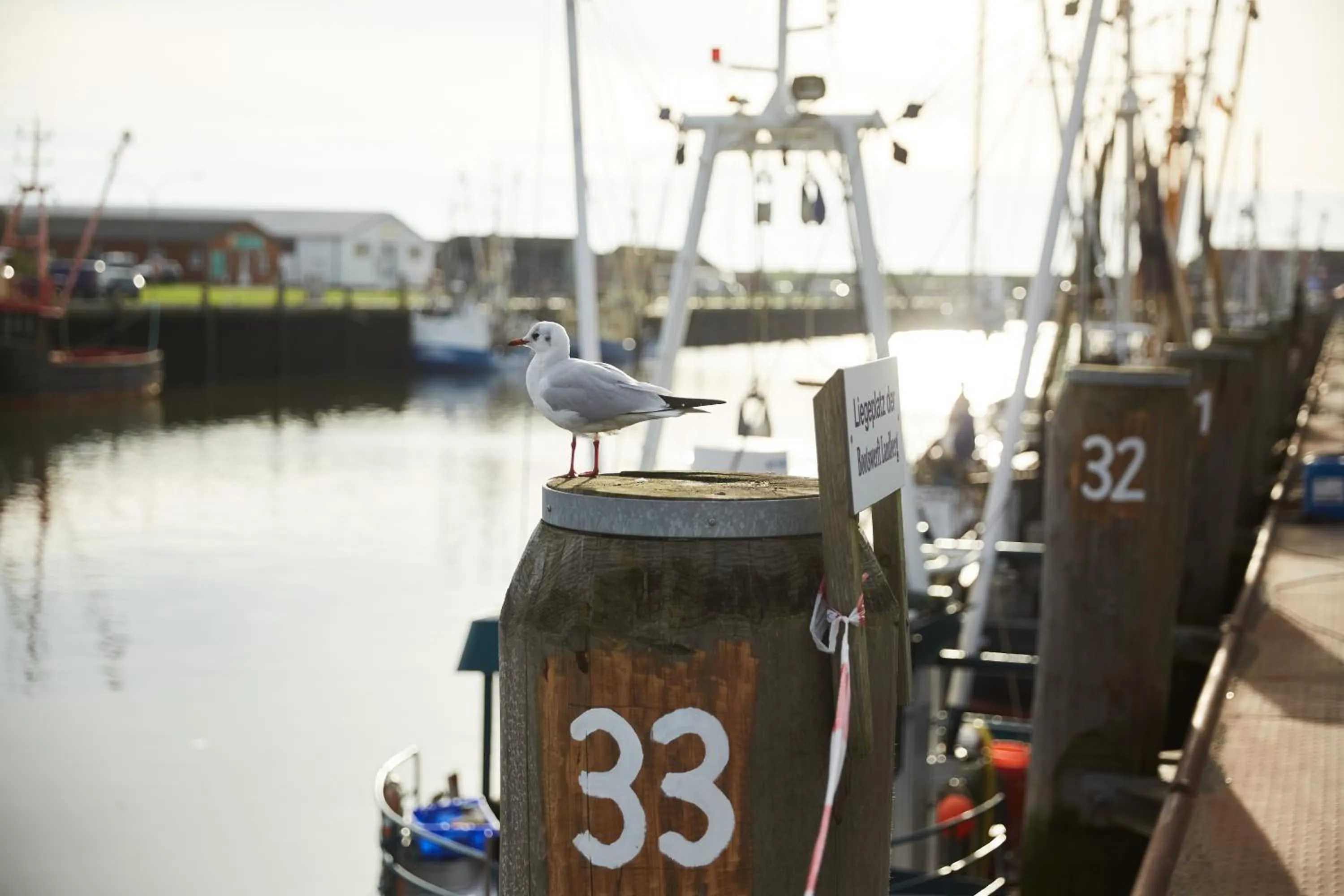 Area and facilities in Strandhotel Salty