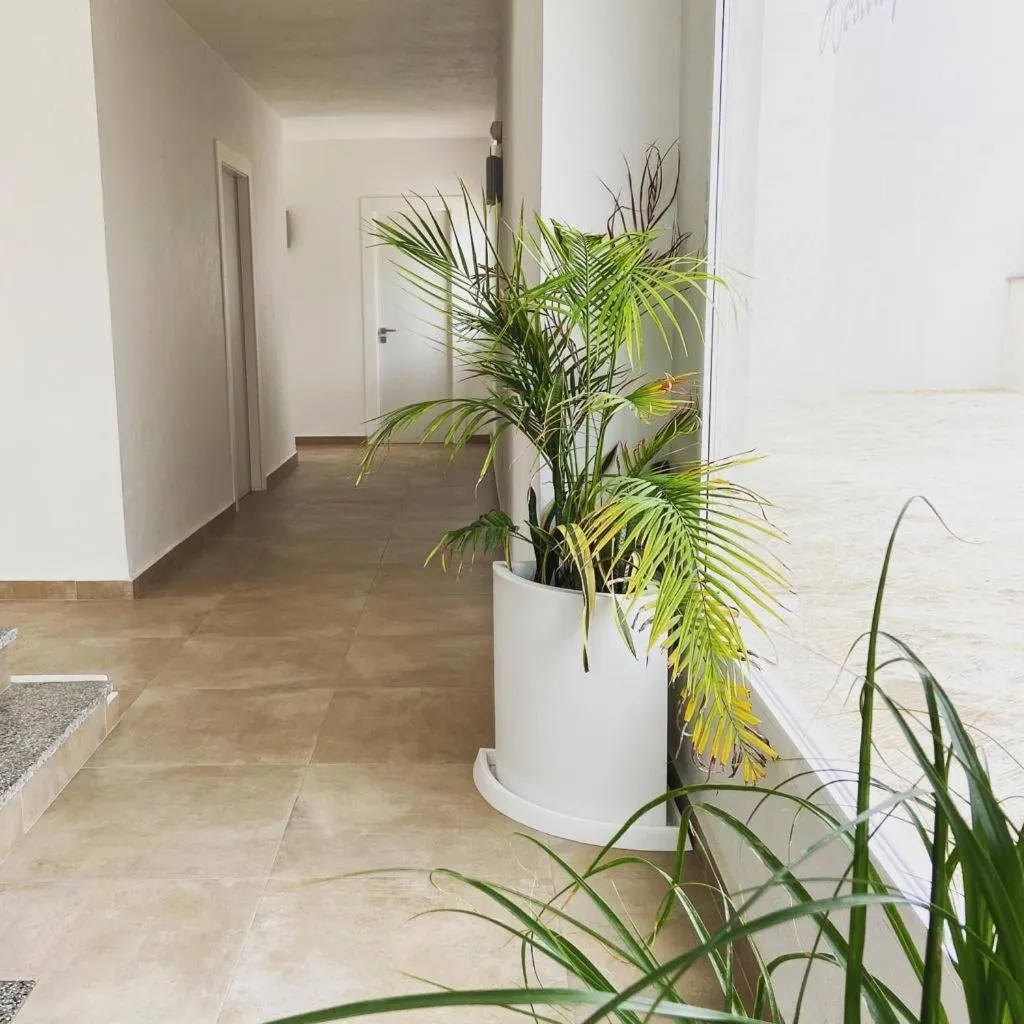 Property building in Hostal Pitiusa