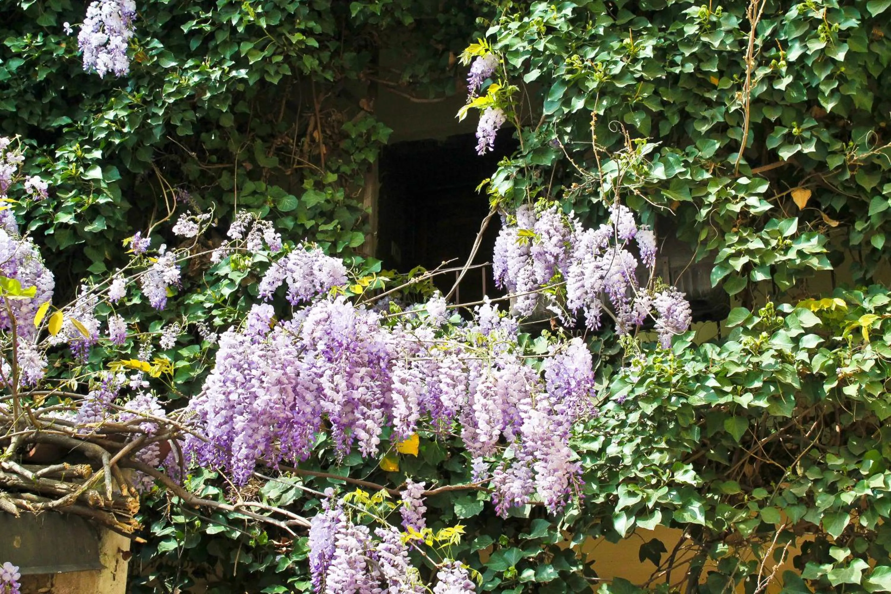 Spring in Hotel Fiera Rho