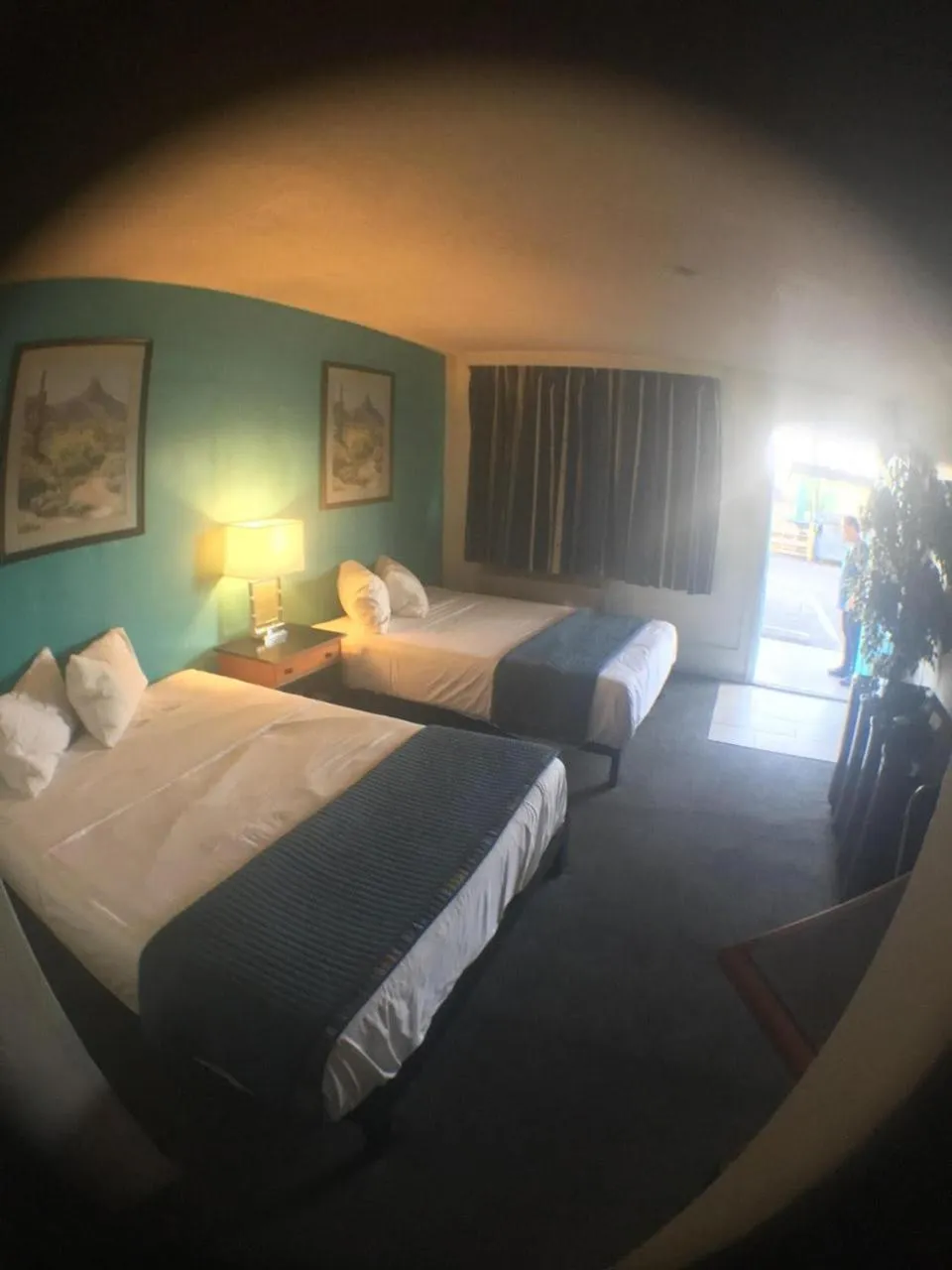 Bed in Desert Hills Motel