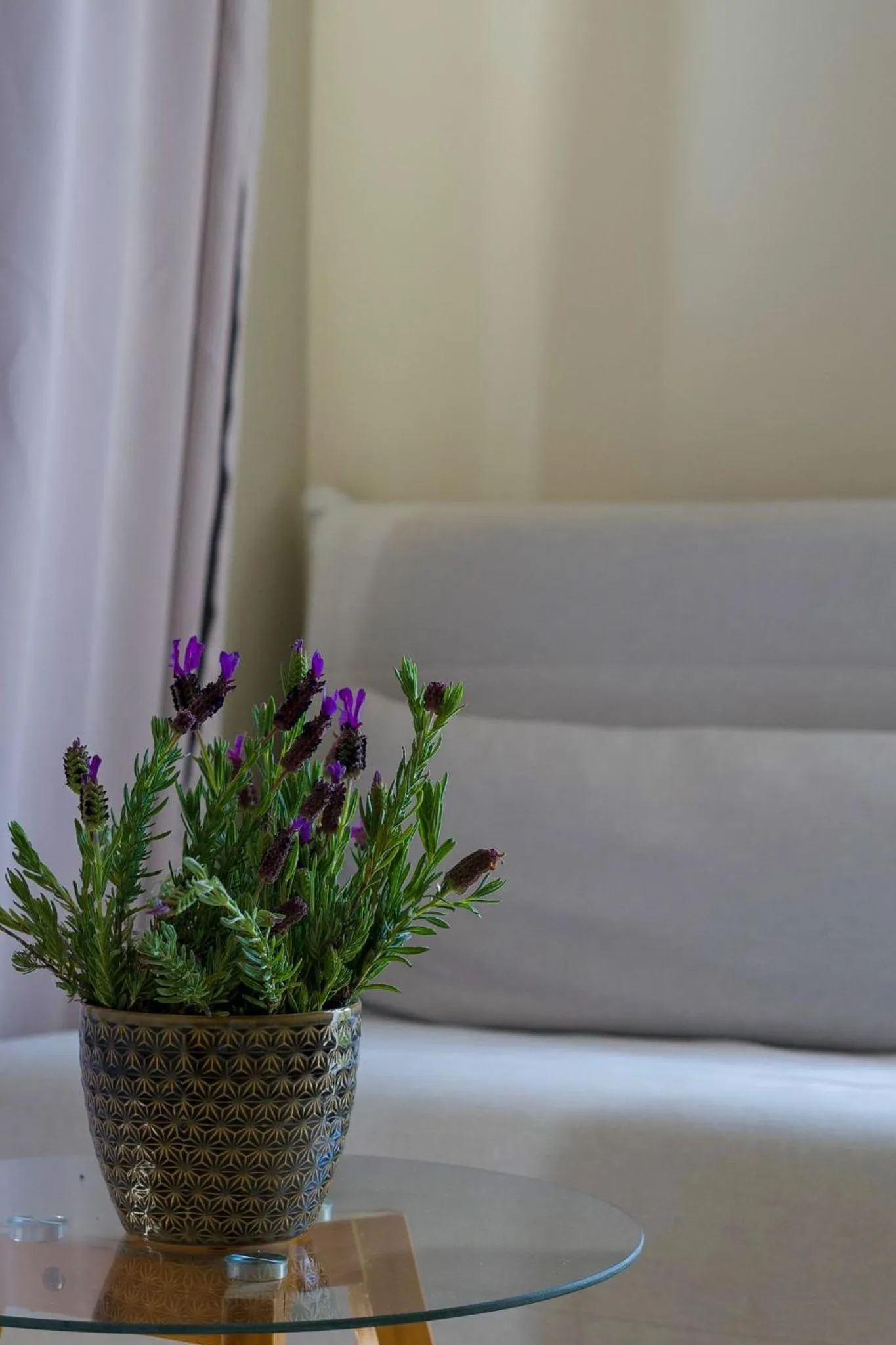 Arrifana Destination Suites