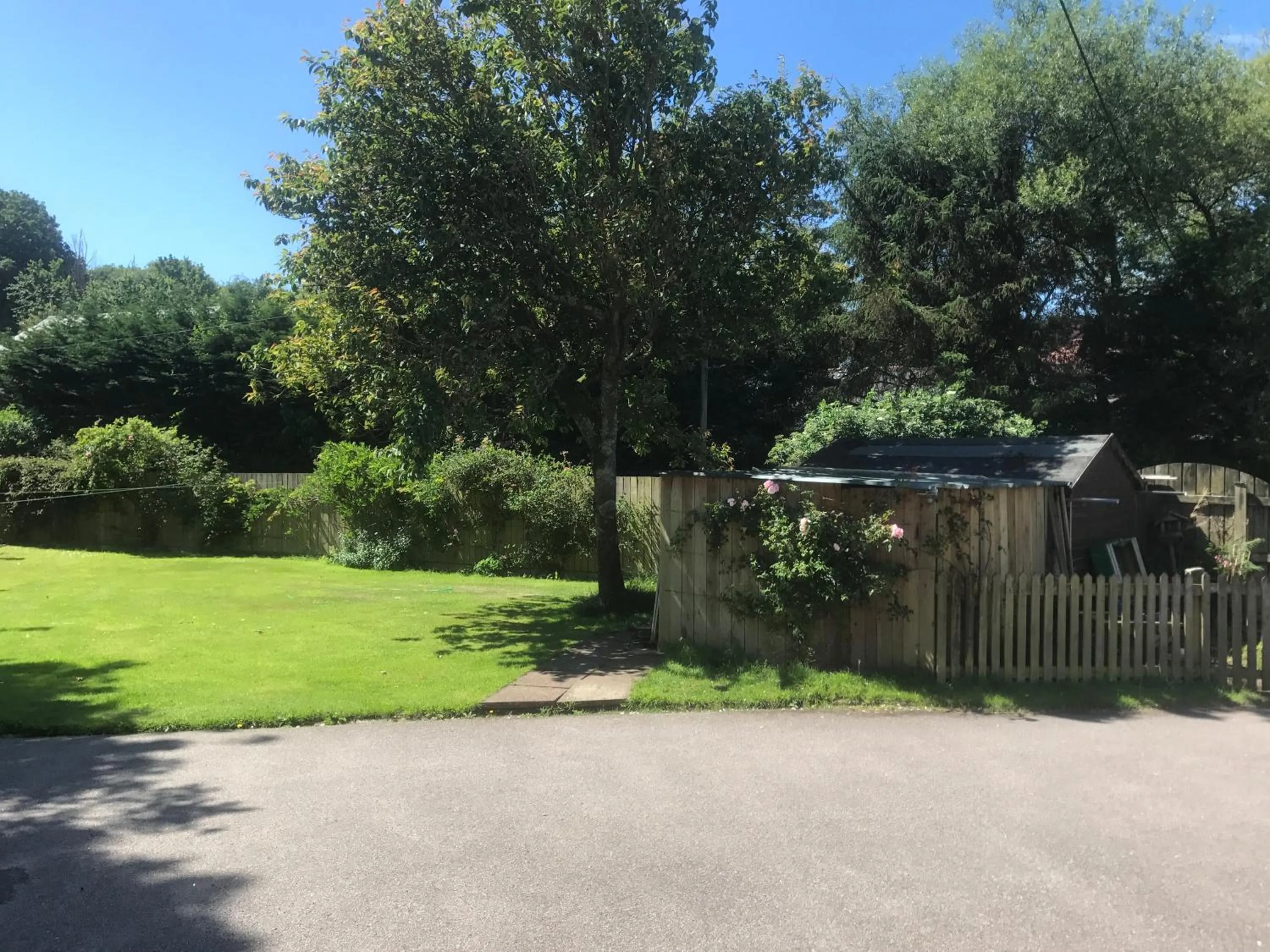Garden view in Lynwood House Bed and Breakfast
