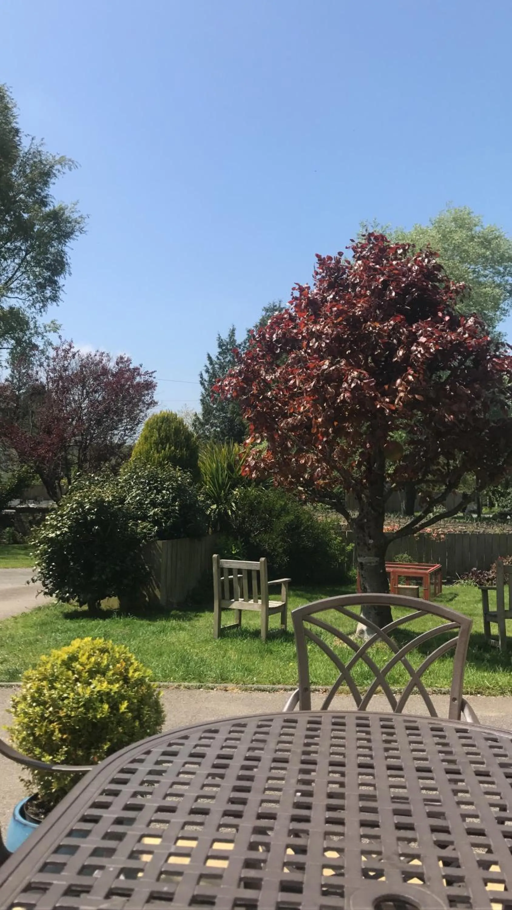 Garden view in Lynwood House Bed and Breakfast