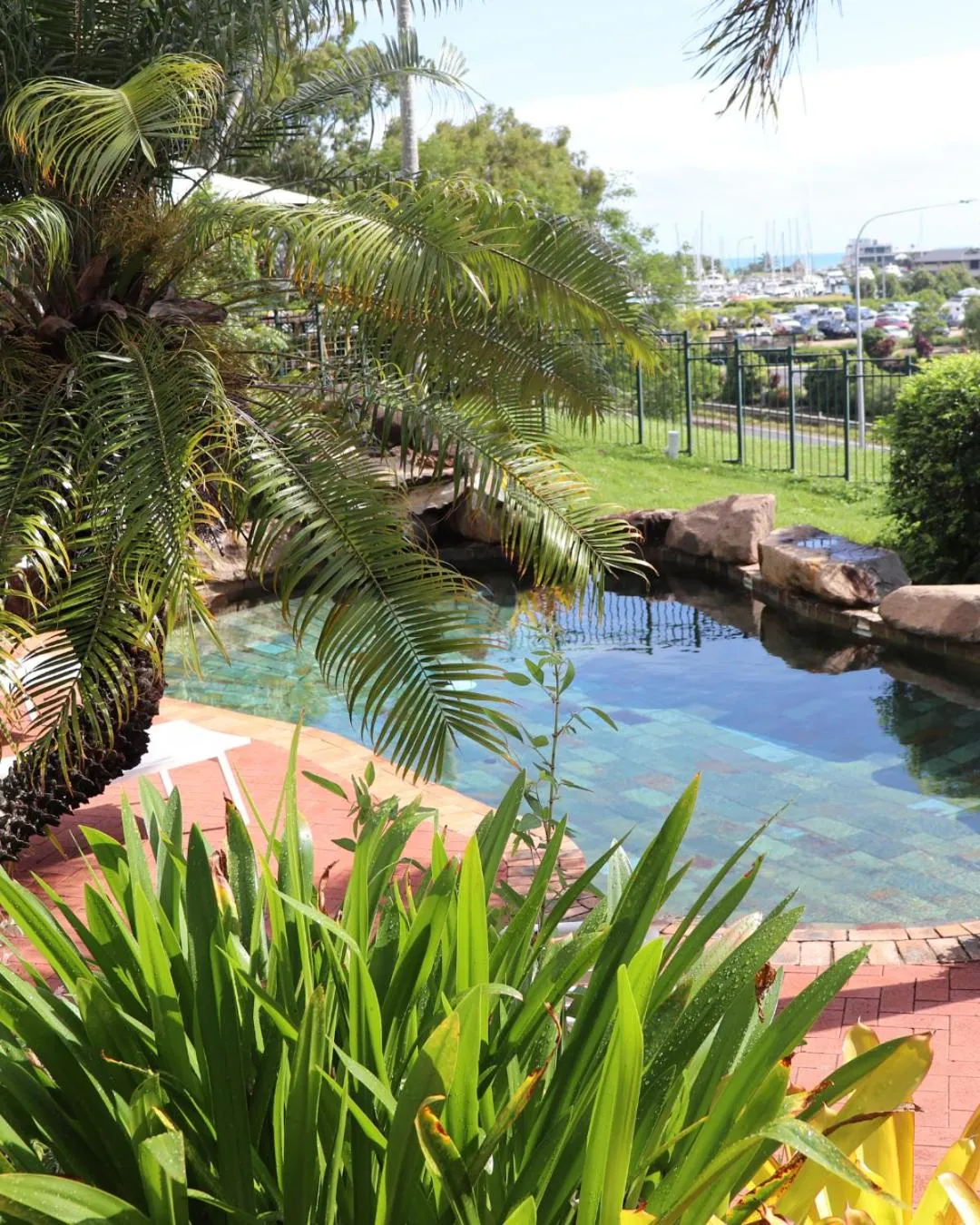 Garden in Colonial Palms Motor Inn