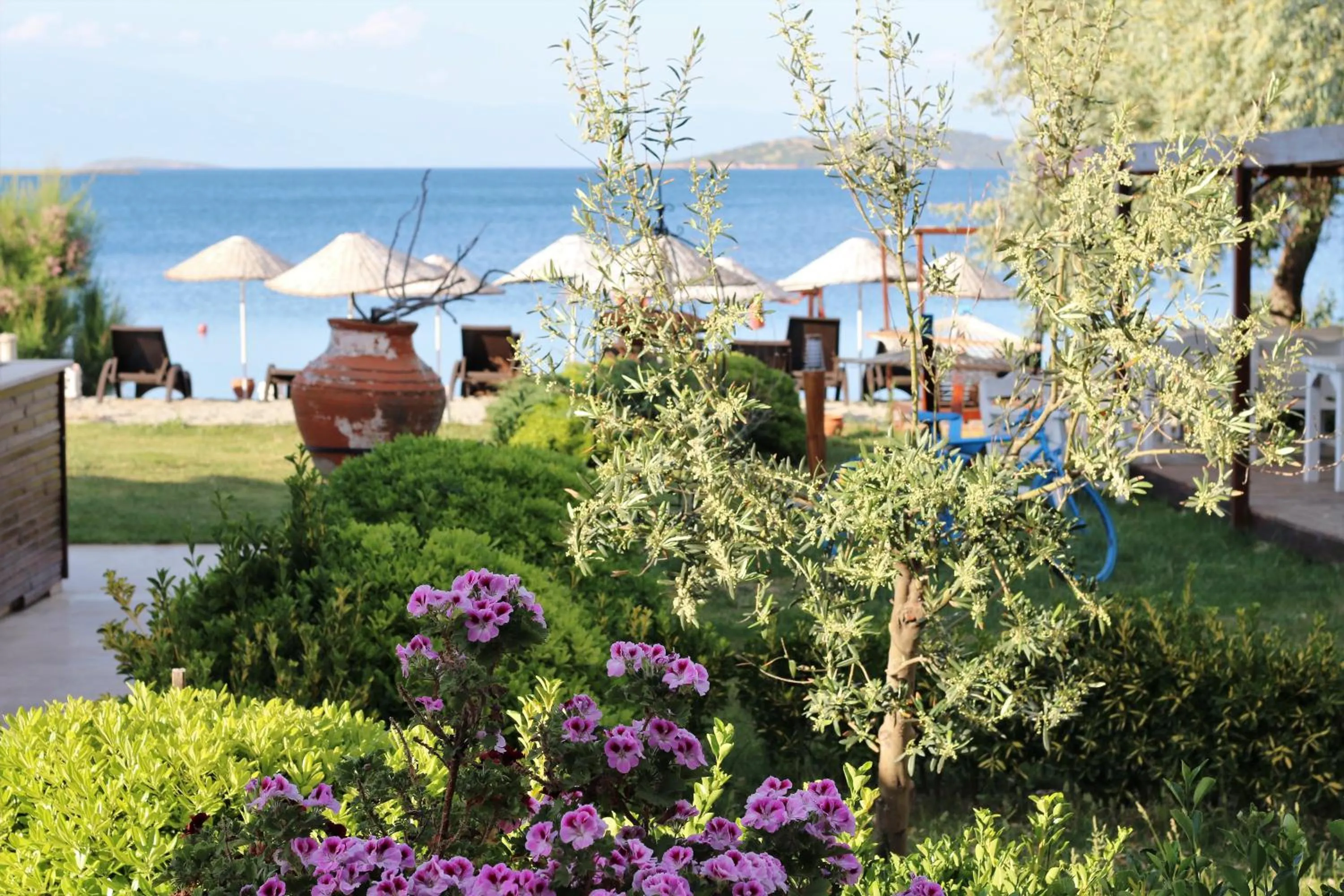 Garden in Cundavilla Hotel & Suites