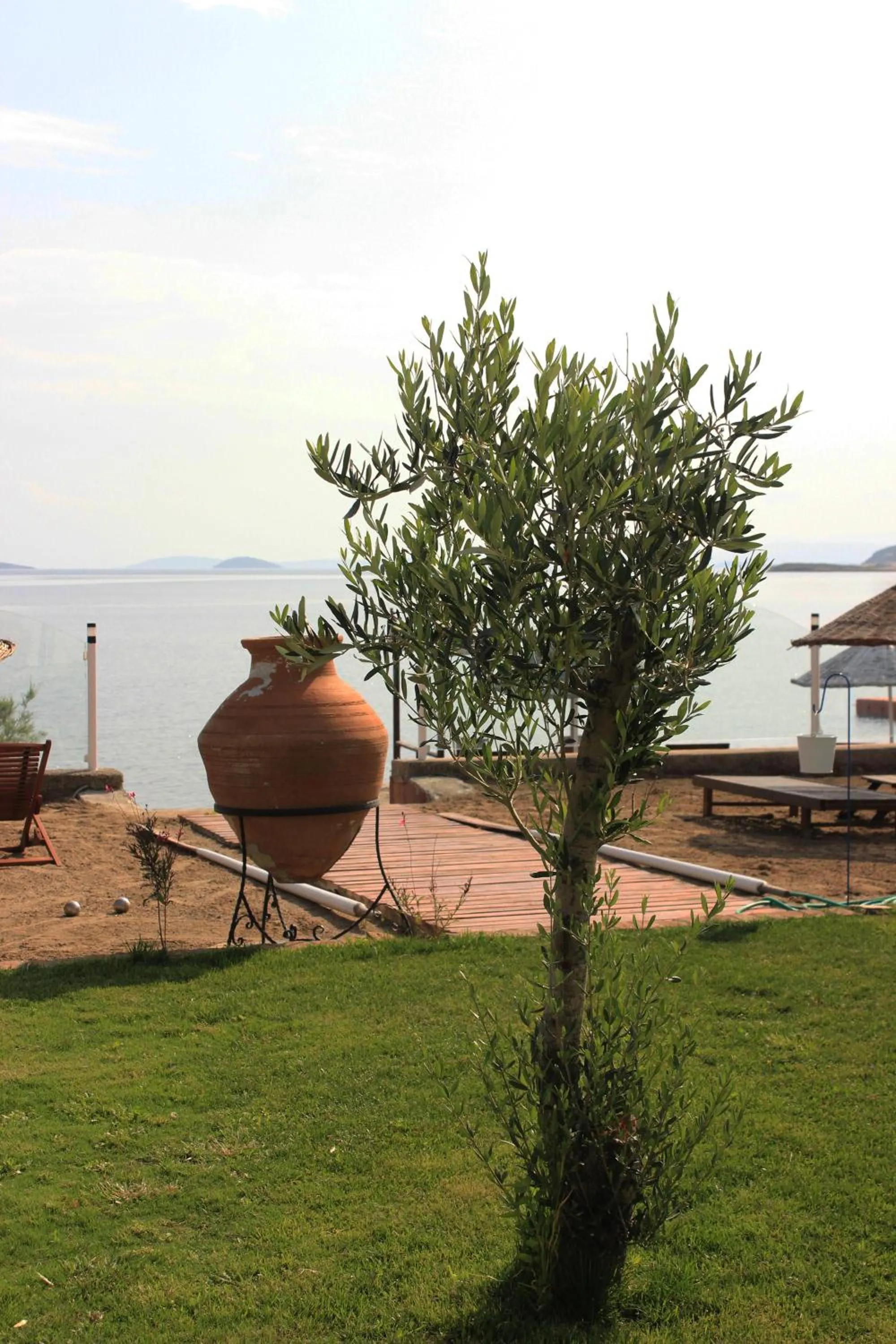 Garden in Cundavilla Hotel & Suites