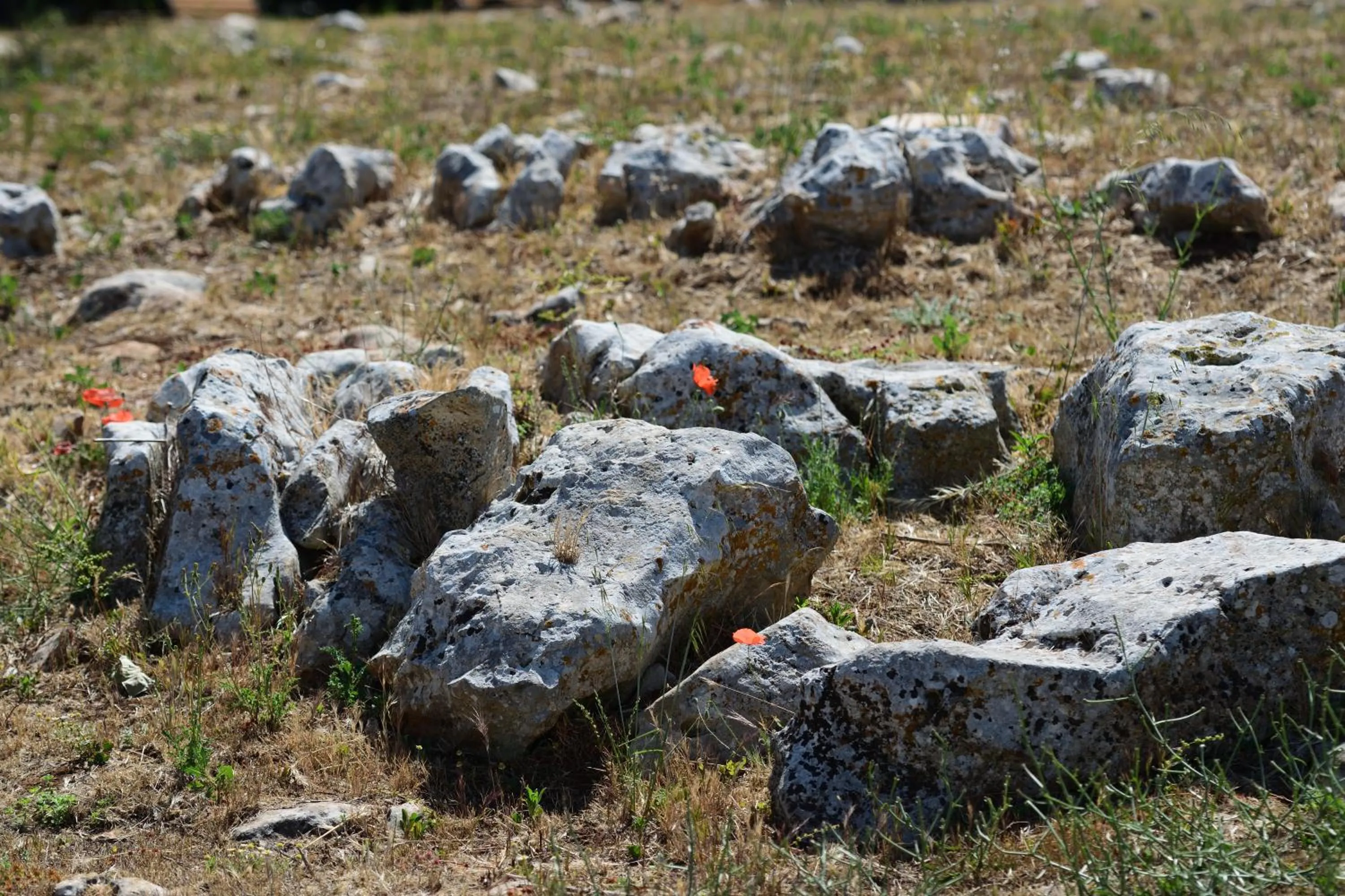 Masseria Calandrella