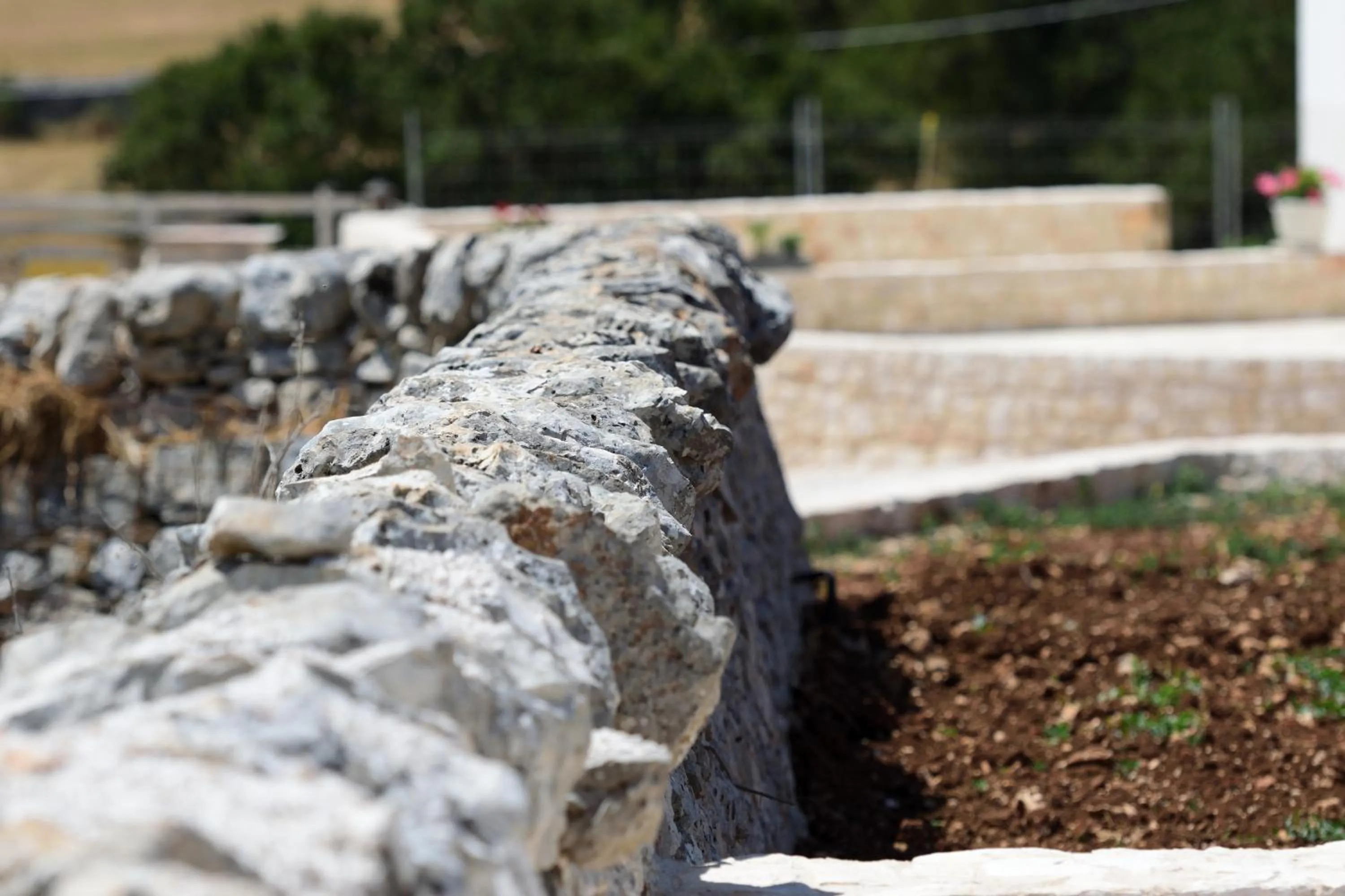 Masseria Calandrella