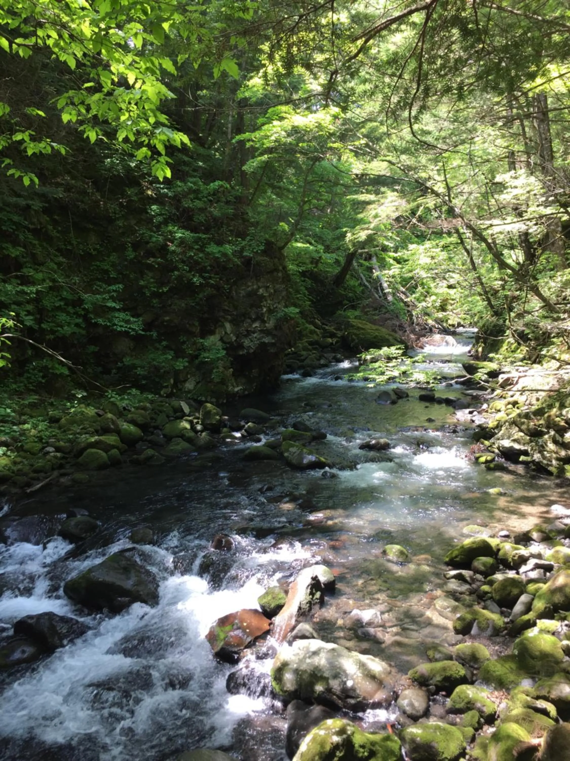 Guesthouse Hoshizora no Akari