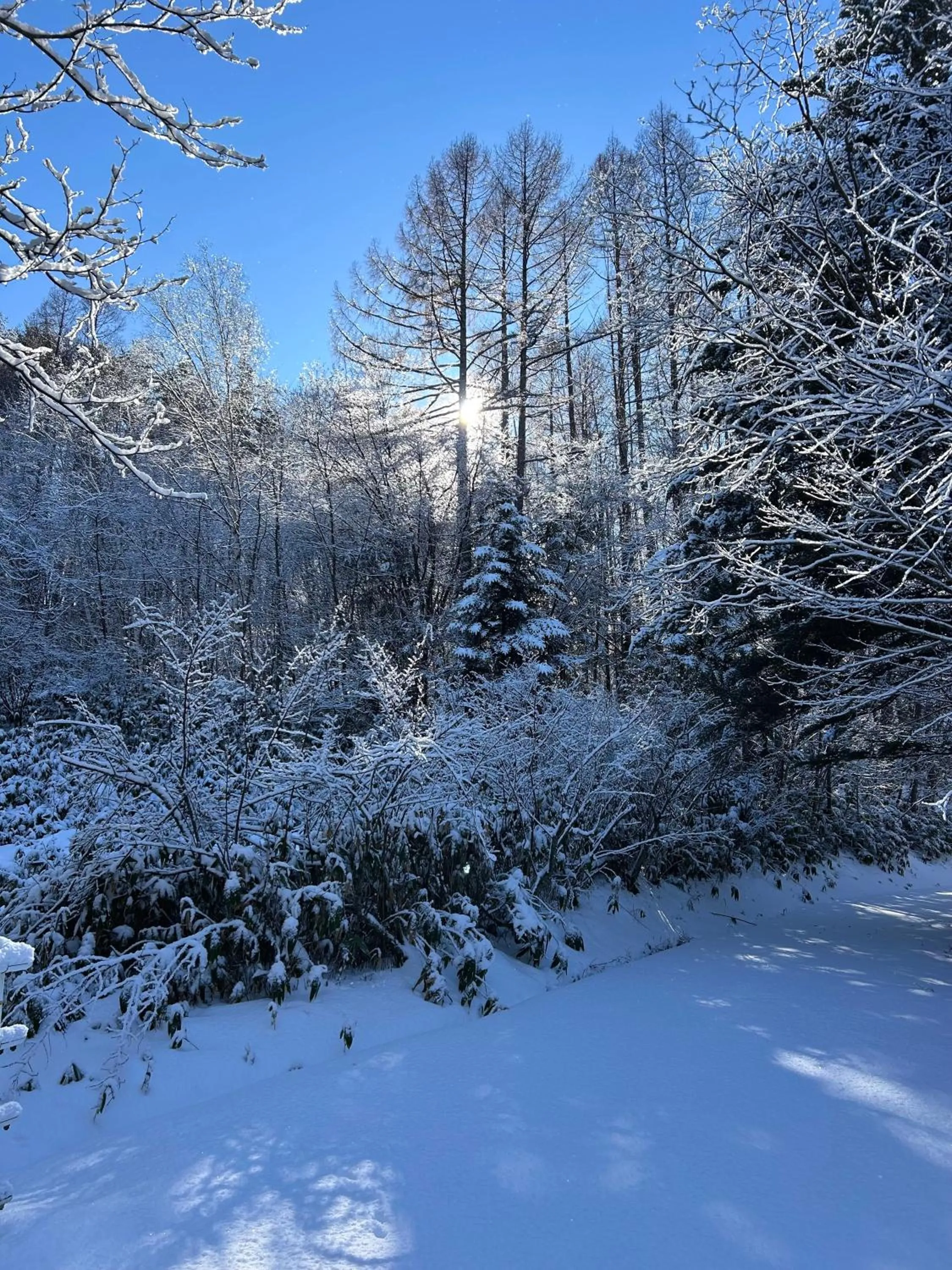 Guesthouse Hoshizora no Akari