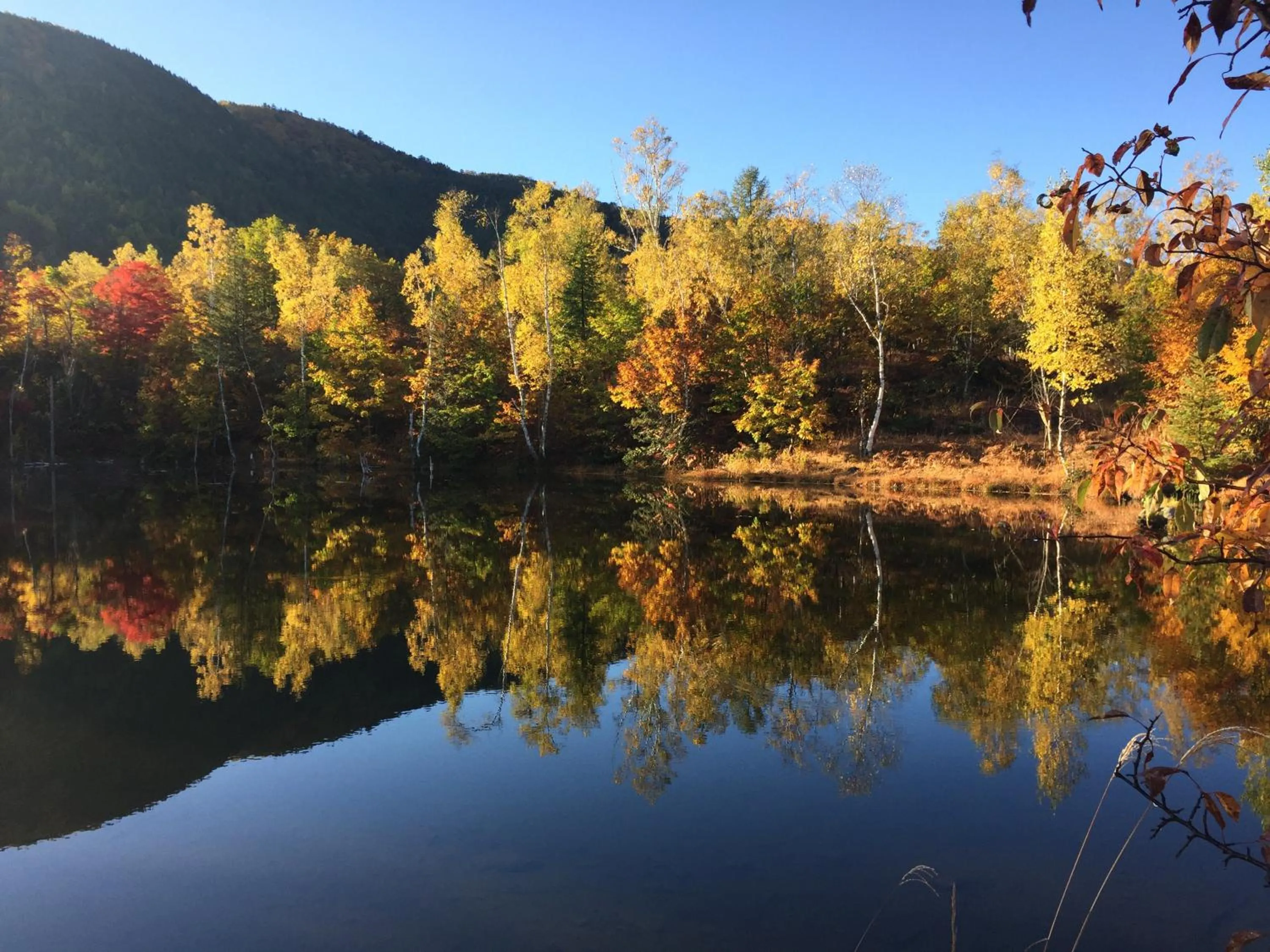 Guesthouse Hoshizora no Akari