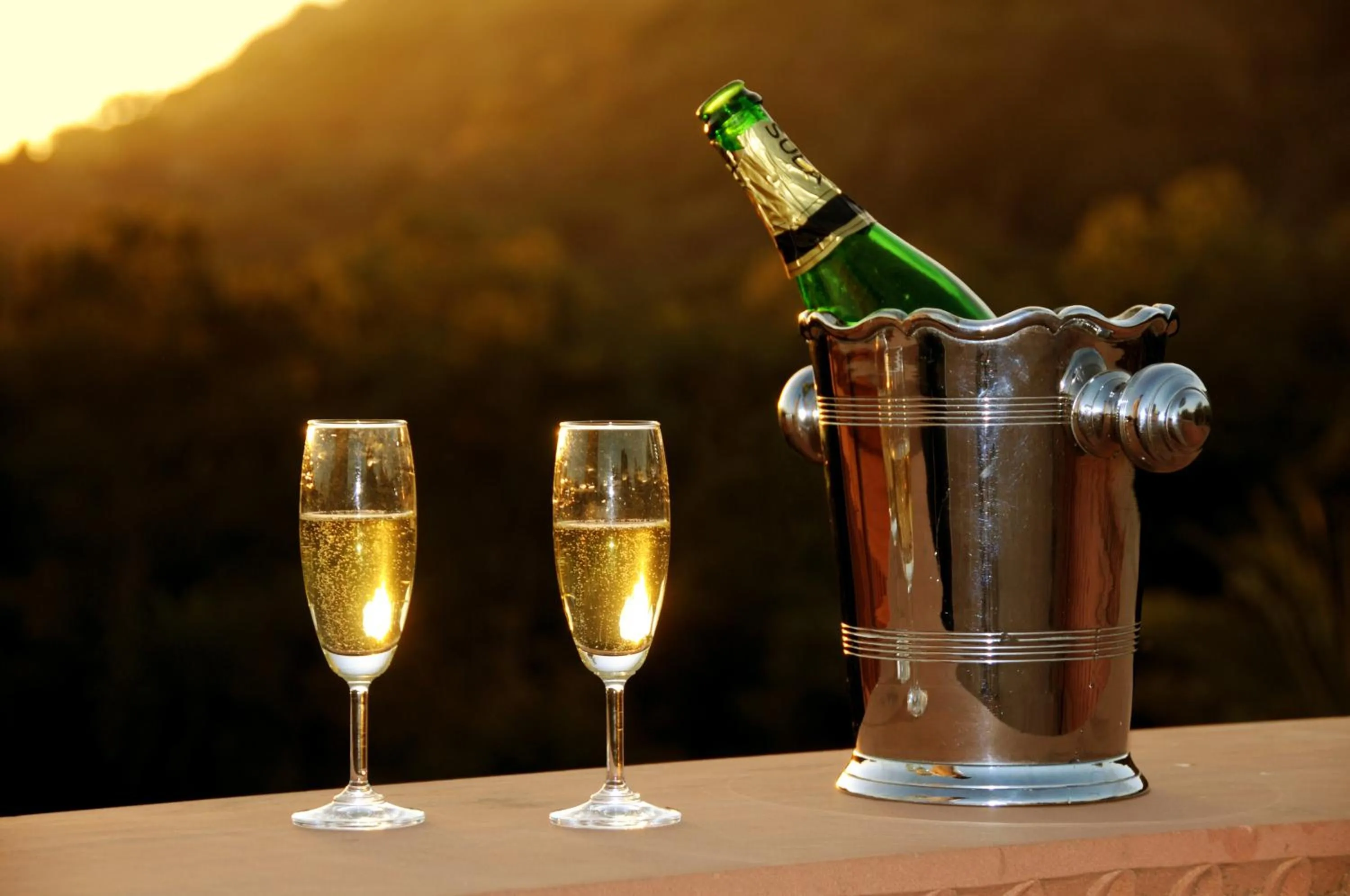 Palace Hotel - Bikaner House