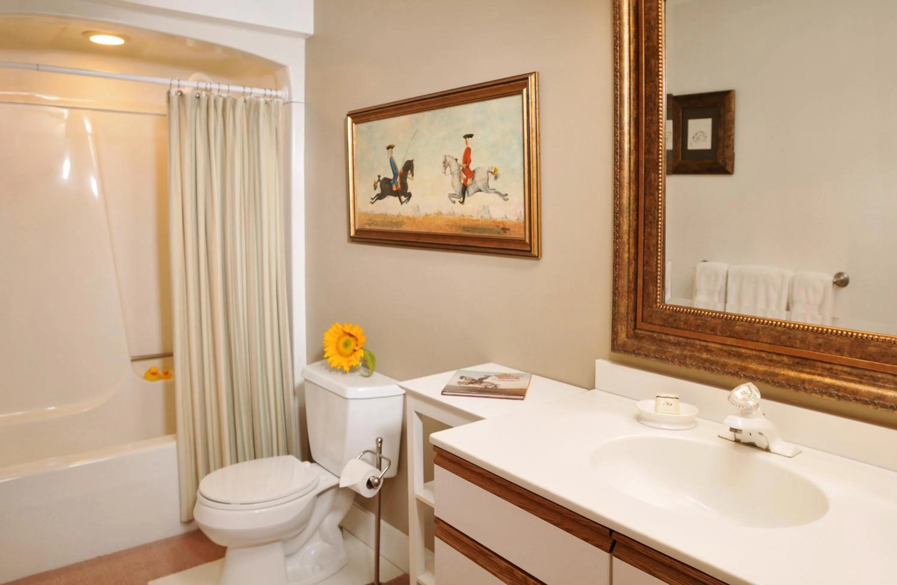 Bathroom in 1795 Acorn Inn Bed and Breakfast