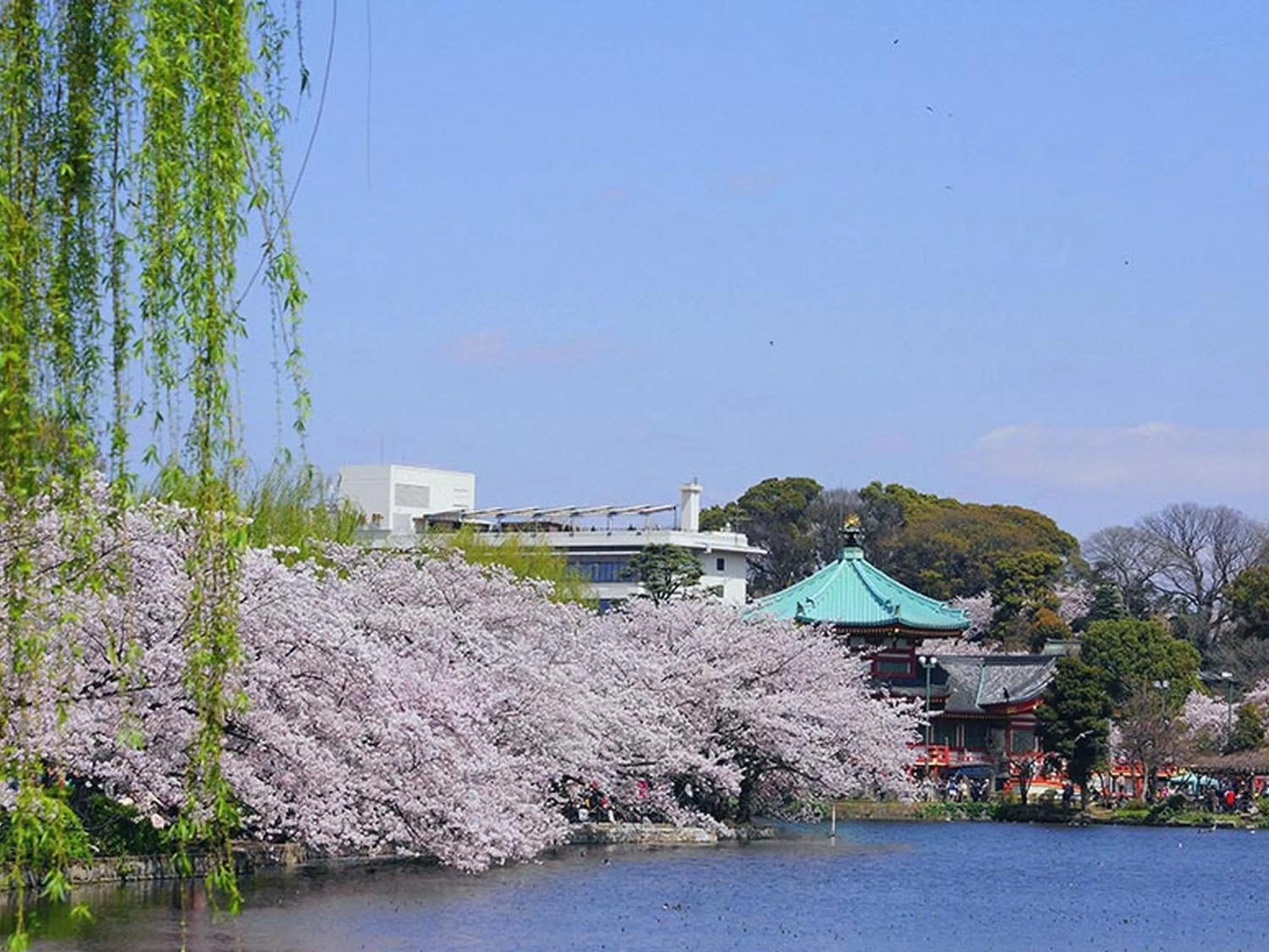 Nearby landmark in HOTEL MYSTAYS Ueno Iriyaguchi