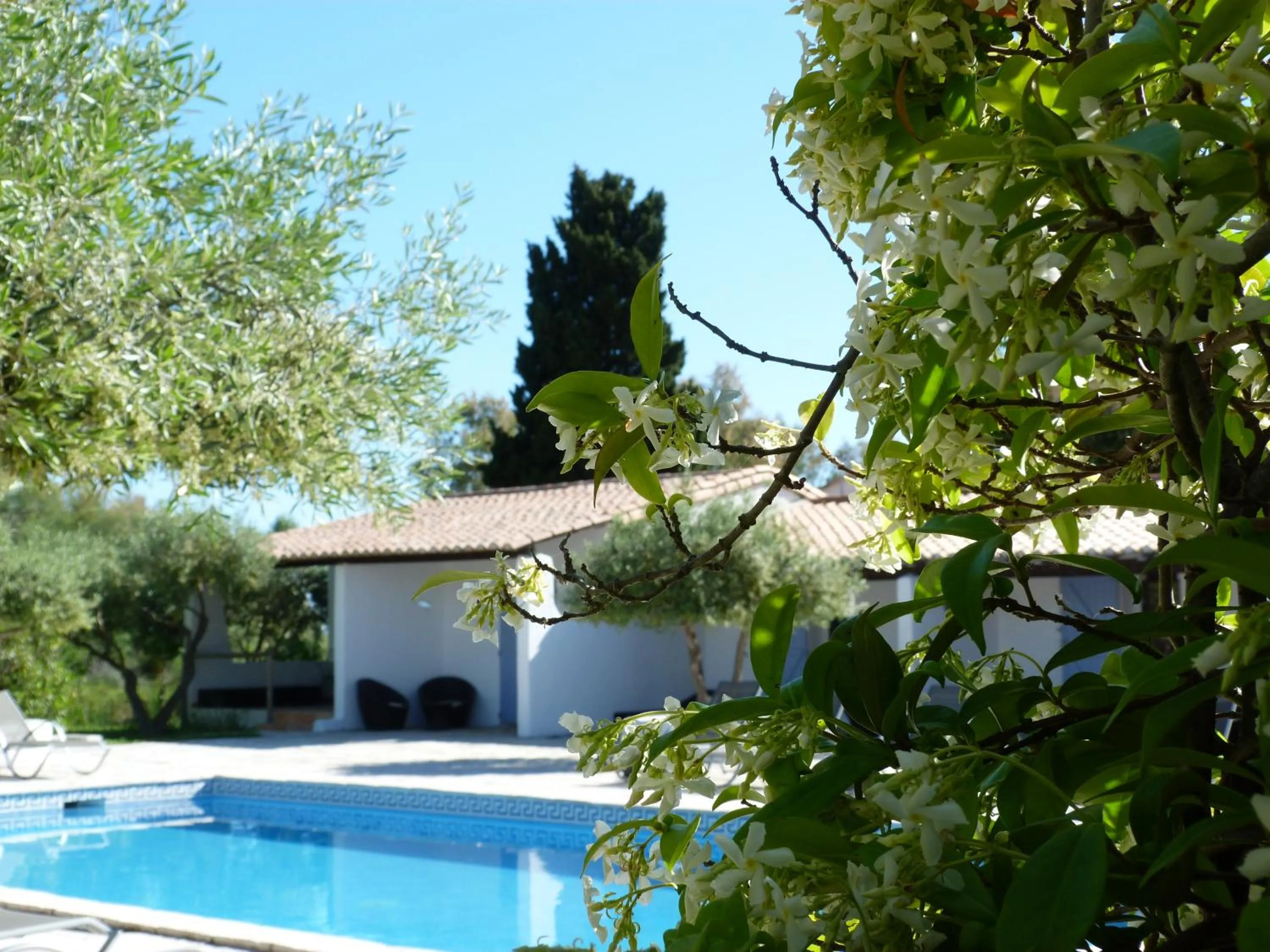 Pool view in Mas De Calabrun