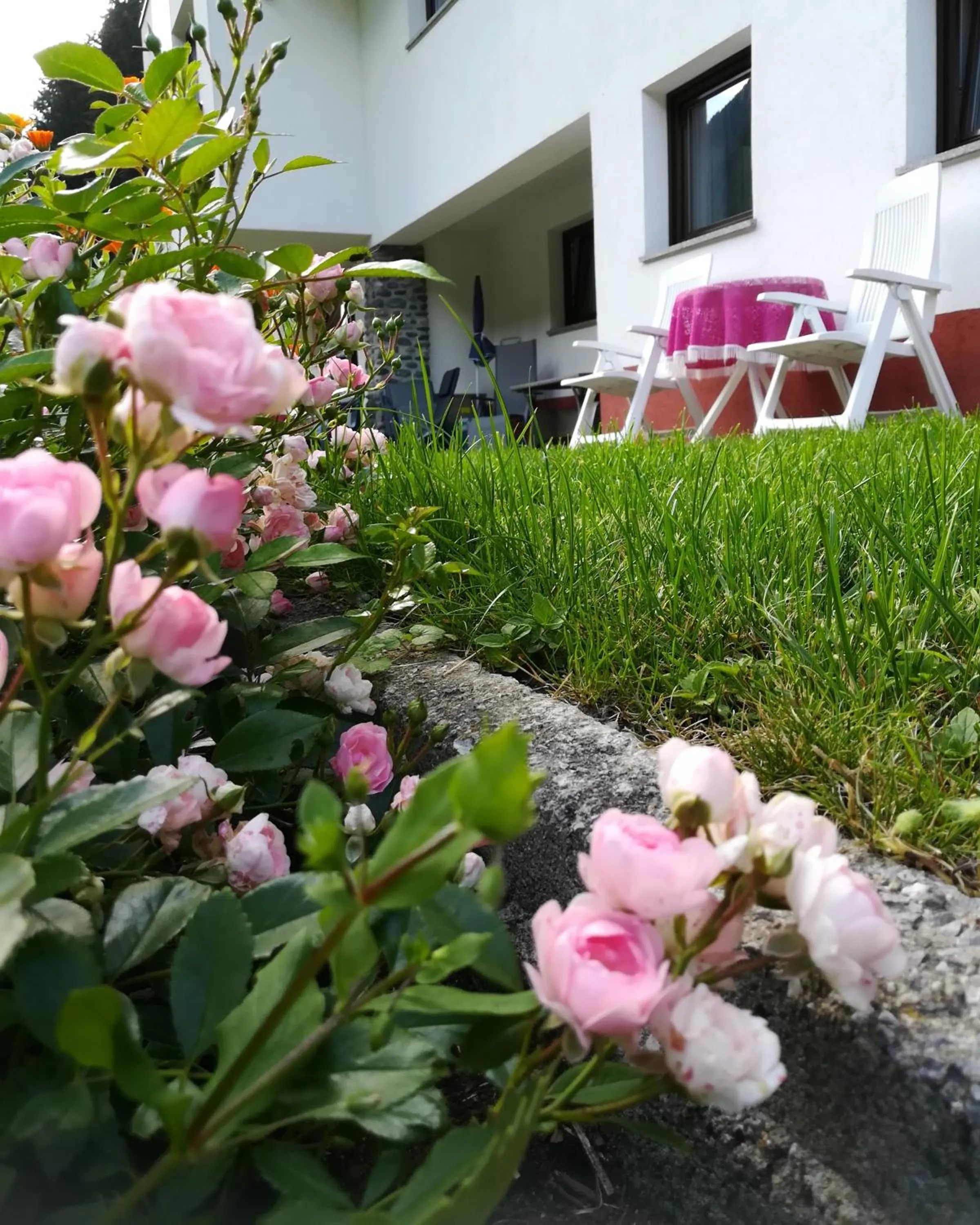 Garden in Apartments Kappl