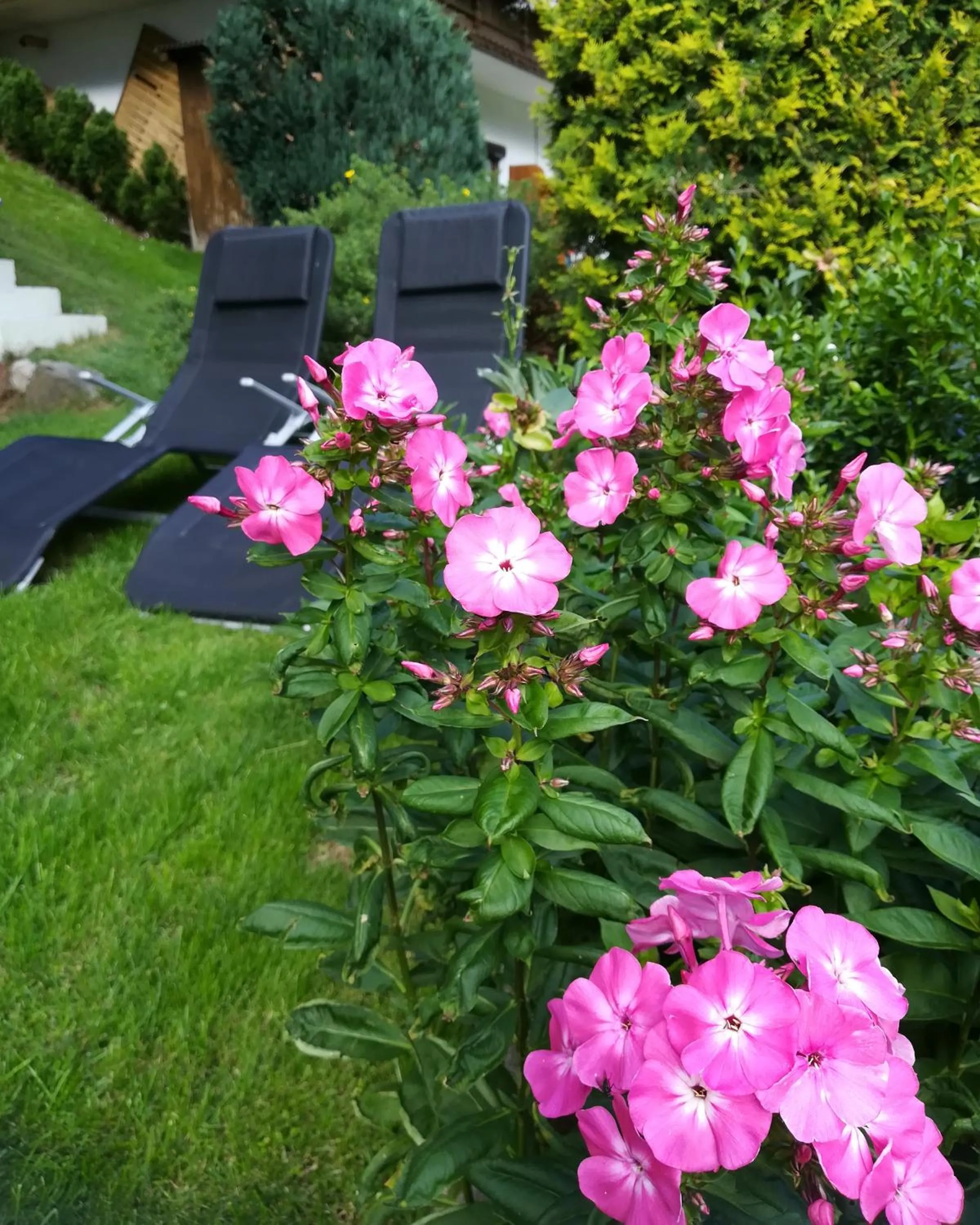 Garden in Apartments Kappl