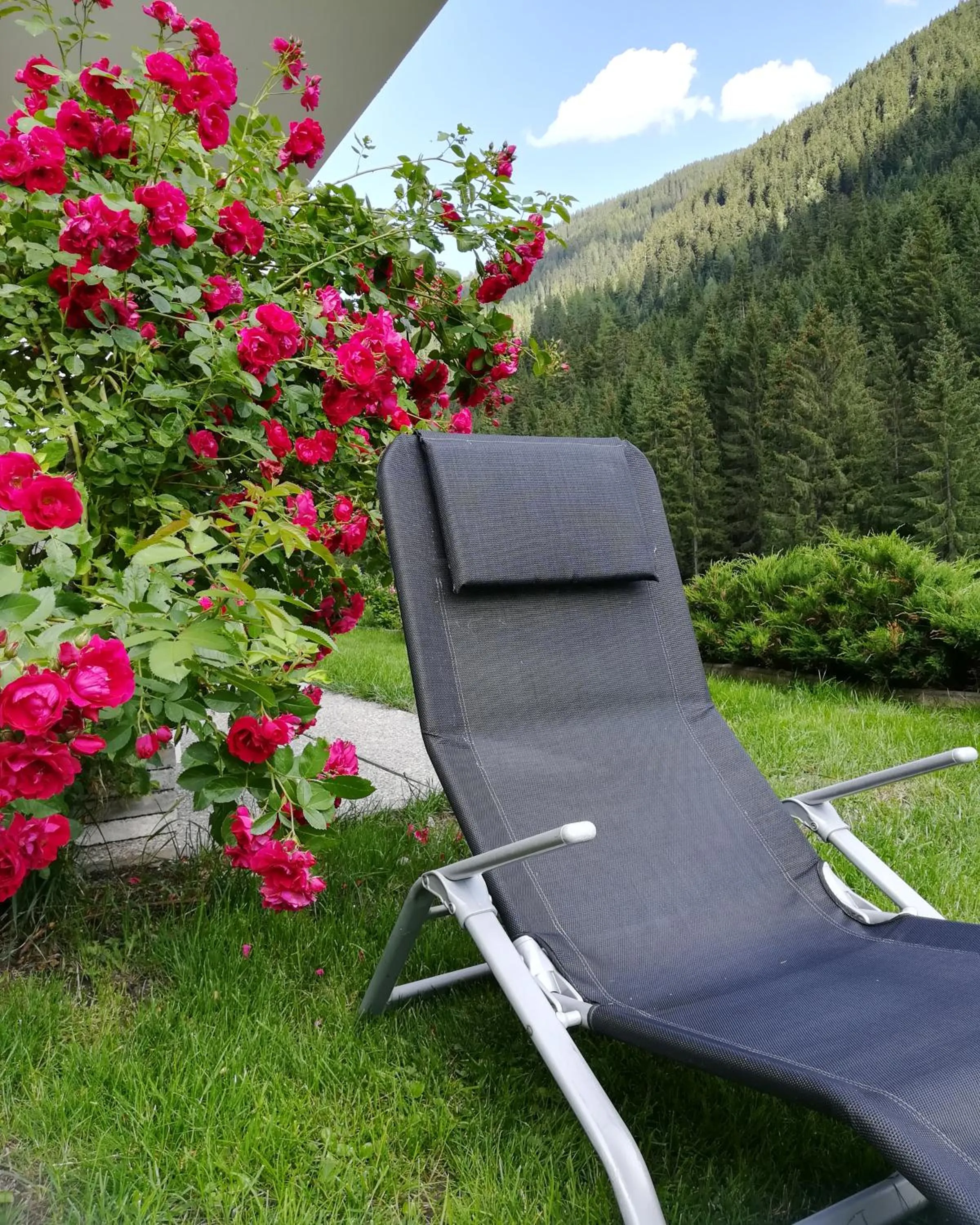 Garden in Apartments Kappl