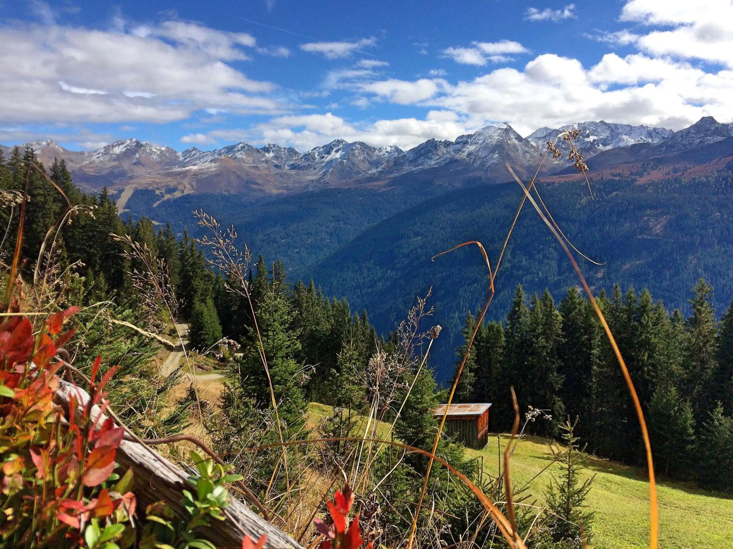 Natural landscape in Apartments Kappl