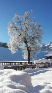 Breakfast in Hotel Sonnenlicht Maria Alm