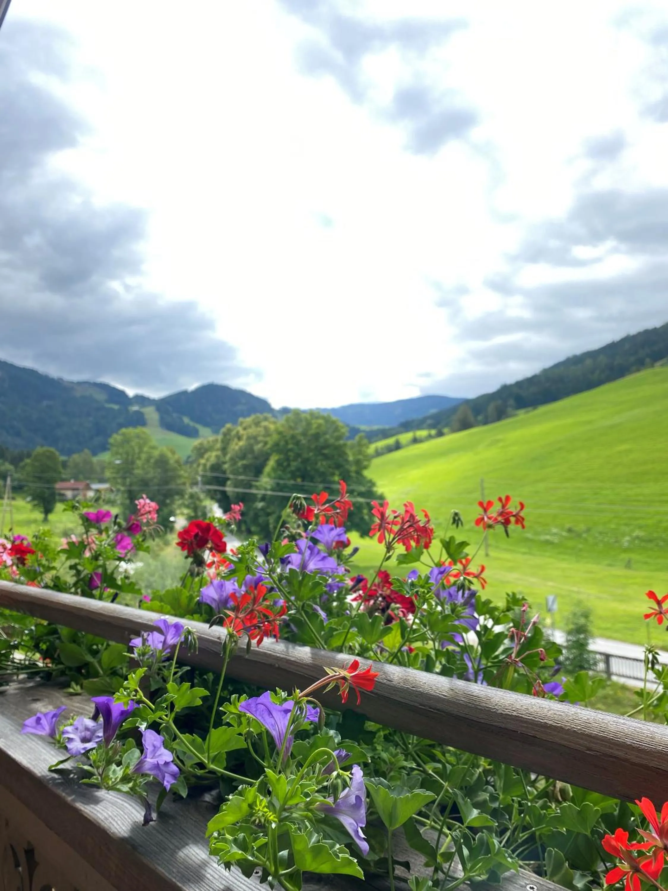 View (from property/room) in Hotel Sonnenlicht Maria Alm