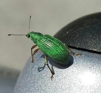 Breakfast in Hotel Sonnenlicht Maria Alm