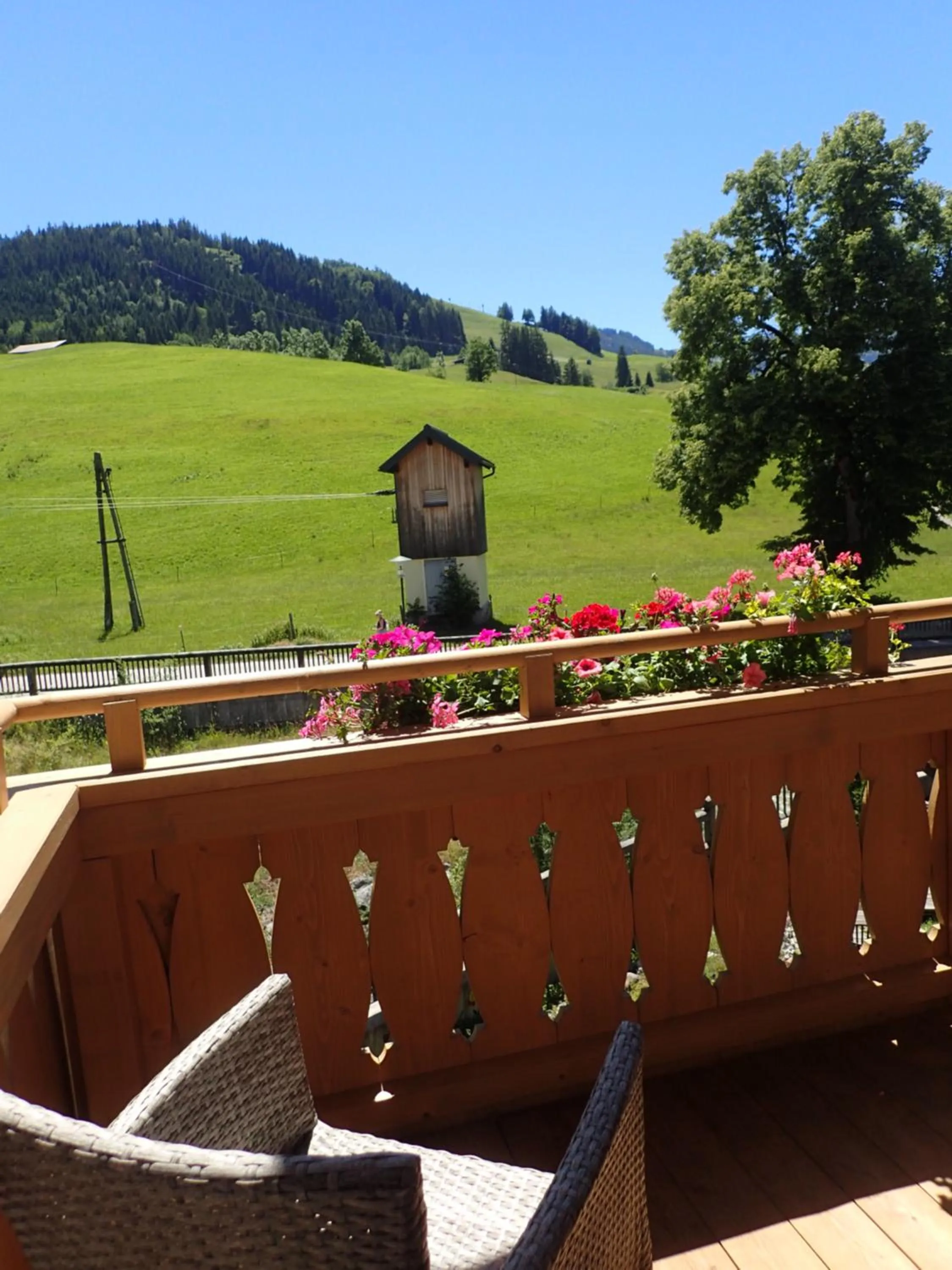 Balcony/Terrace in Hotel Sonnenlicht Maria Alm
