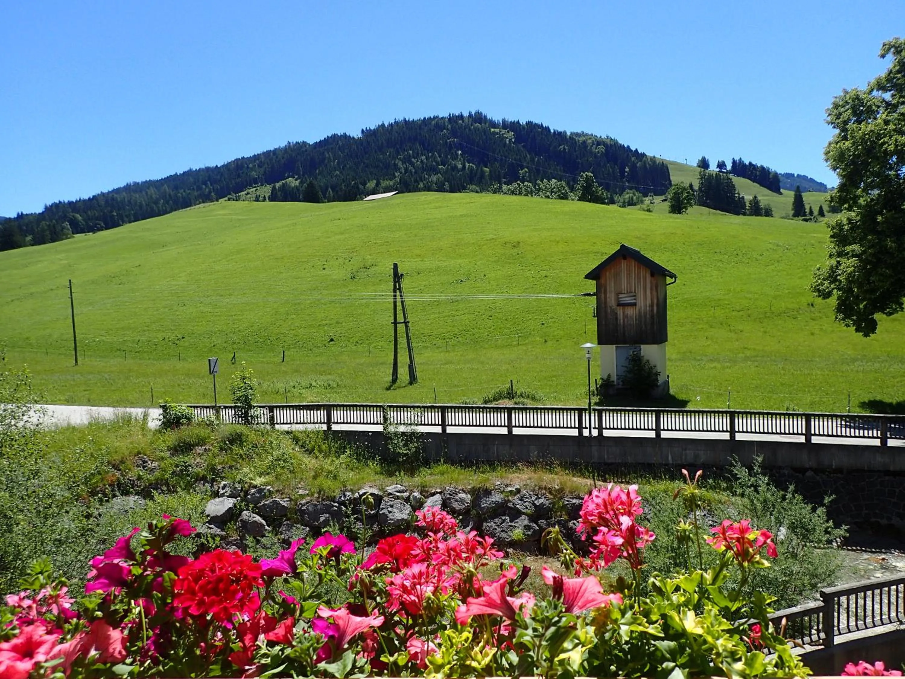 View (from property/room) in Hotel Sonnenlicht Maria Alm